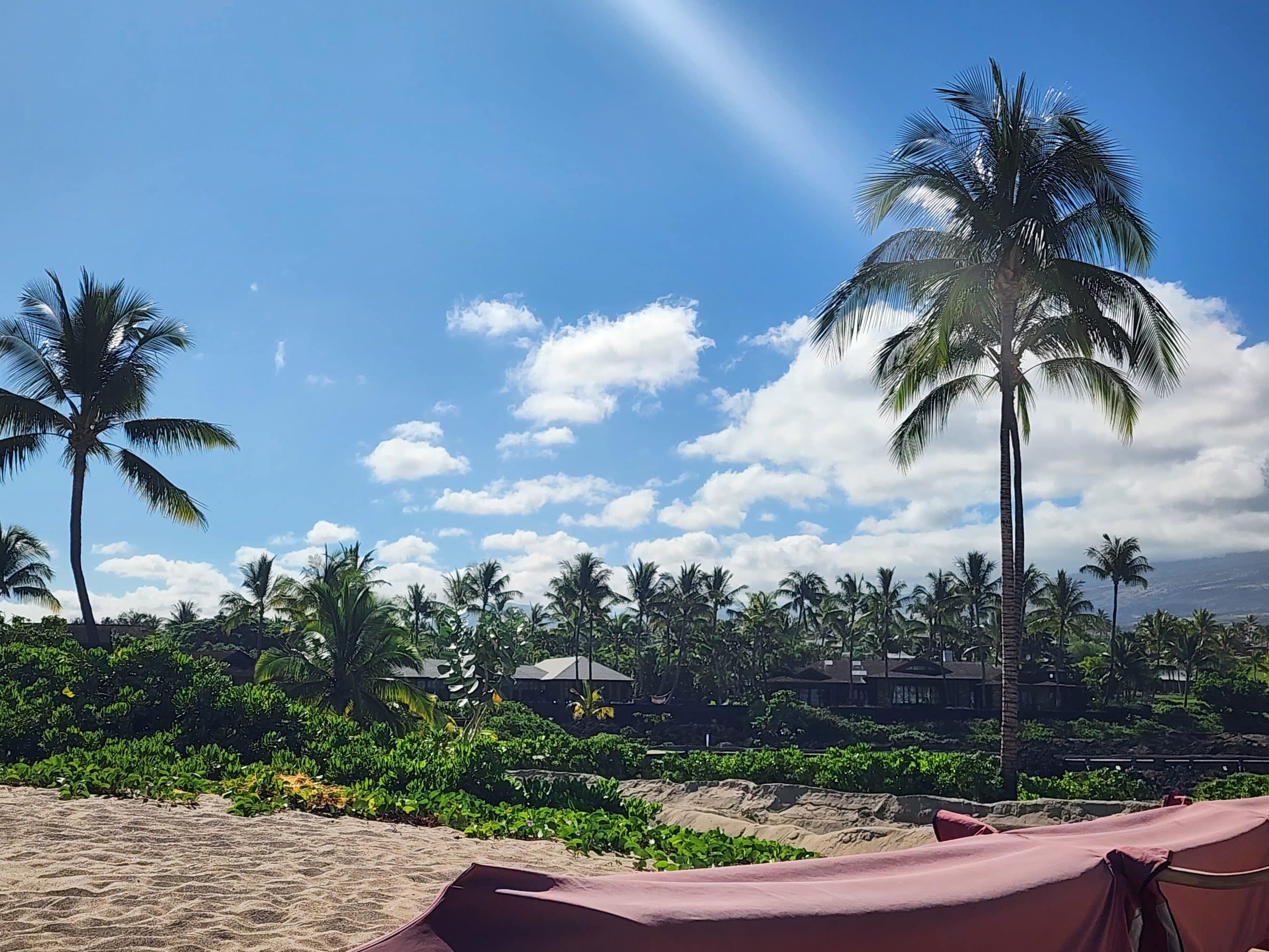 Palm trees over a sandy beach with a bright blue sky and scattered clouds; pink umbrellas visible in the foreground. (Tropical coastal scene)