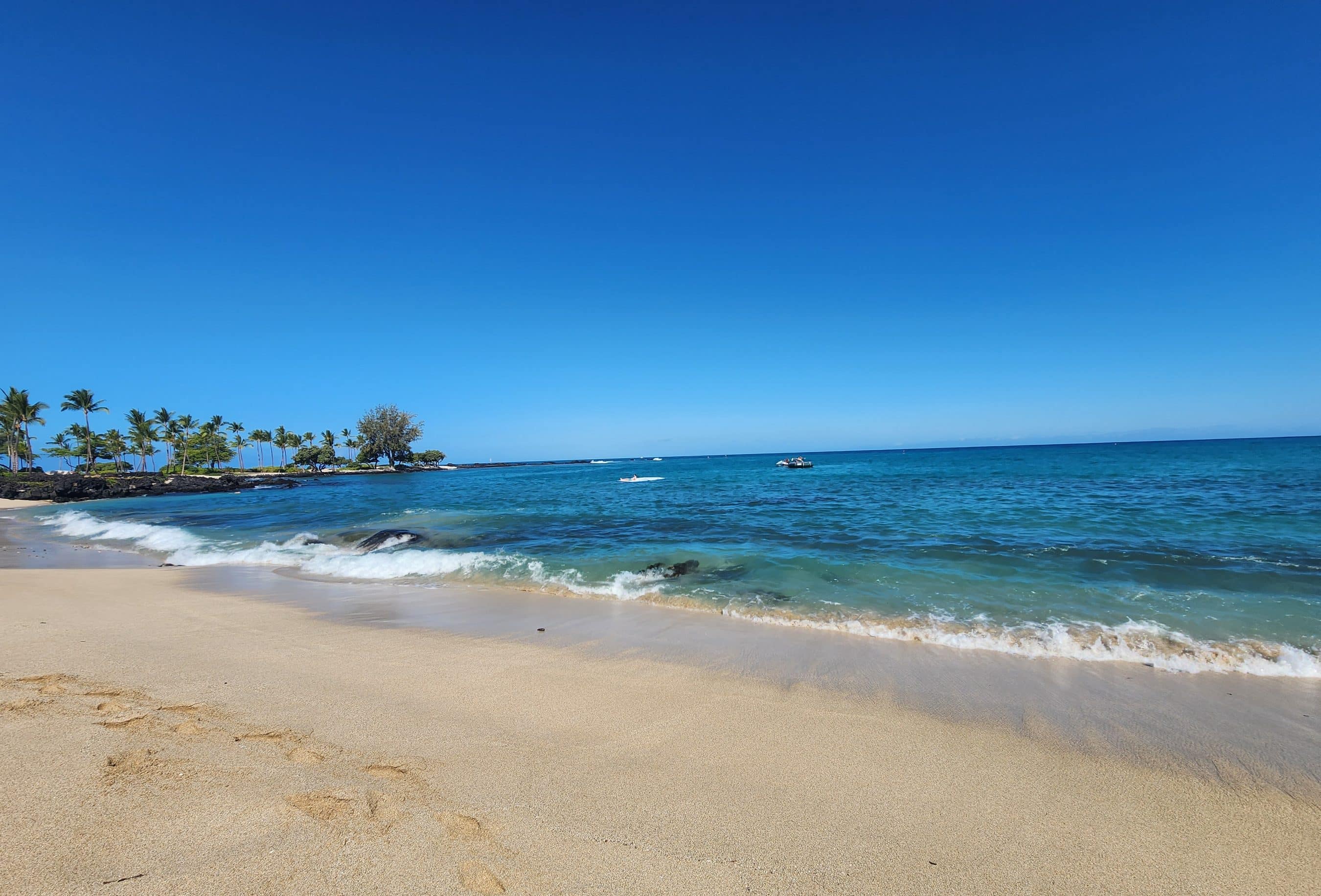 Tropical beach with palm trees along the shore, calm turquoise sea, and a clear blue sky.