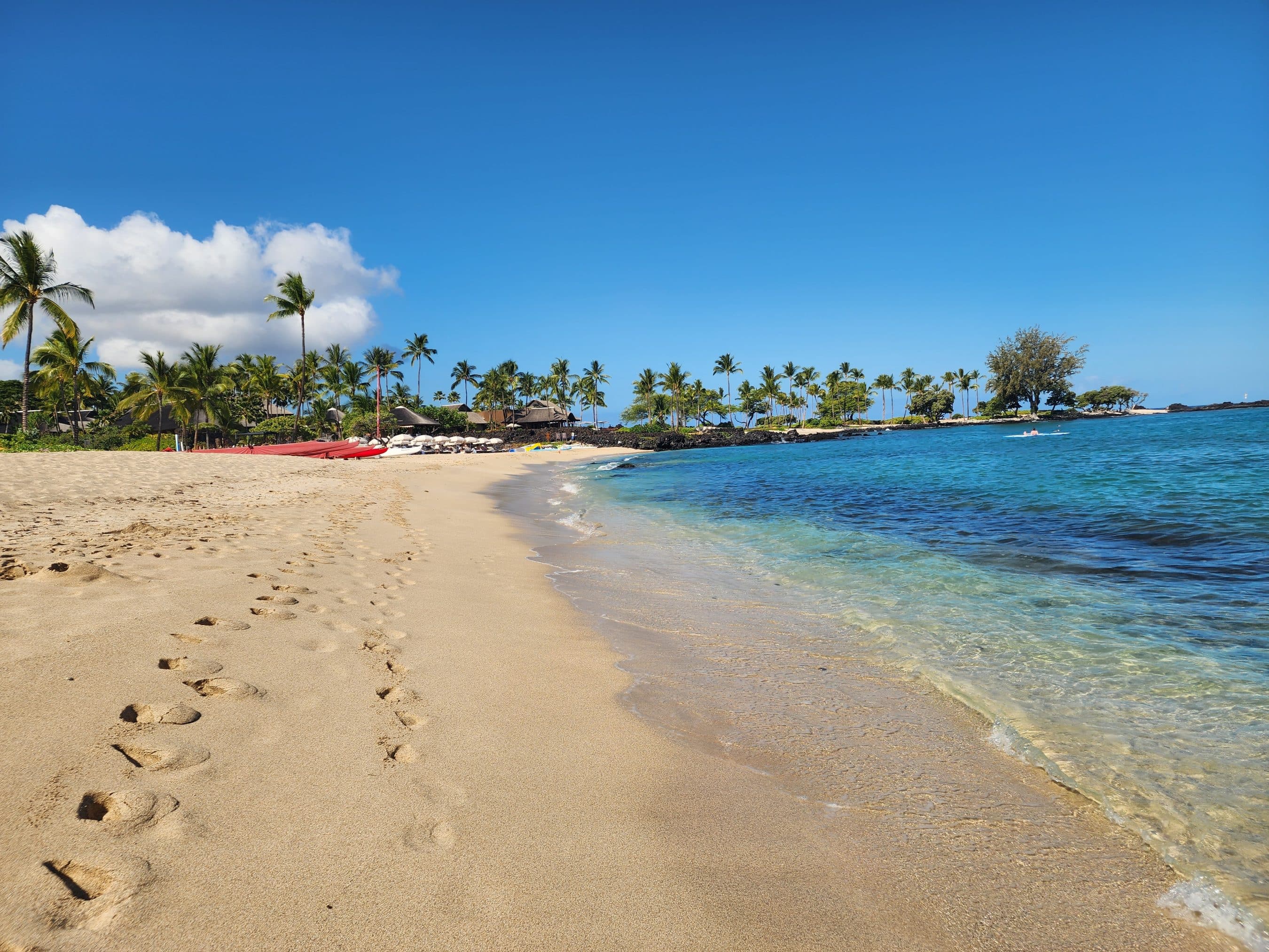 Beach scene with palm trees, calm turquoise water, and a clear blue sky on a sunny day.