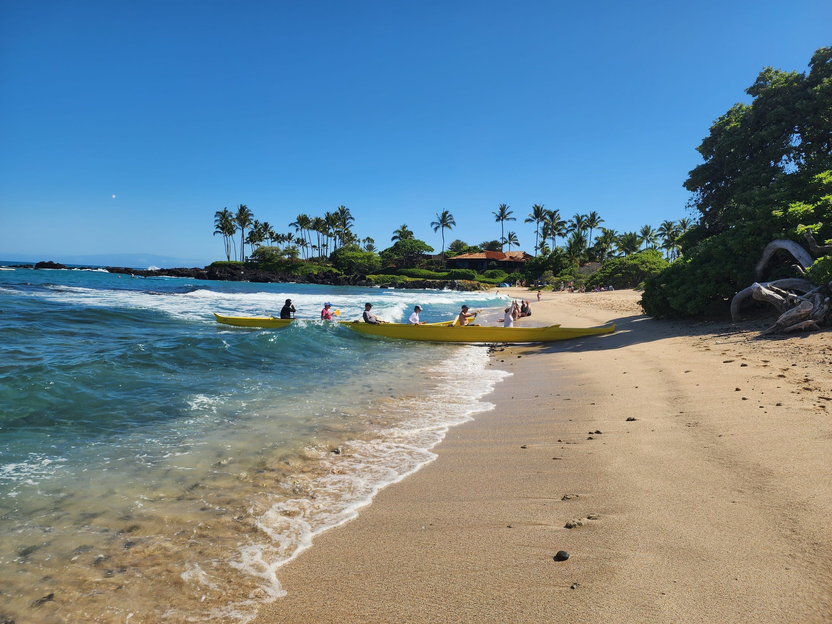 Tropical beach scene with turquoise waves, golden sand, and tall palm trees lining a seaside village. People in yellow kayaks paddle near the shore on a sunny day.