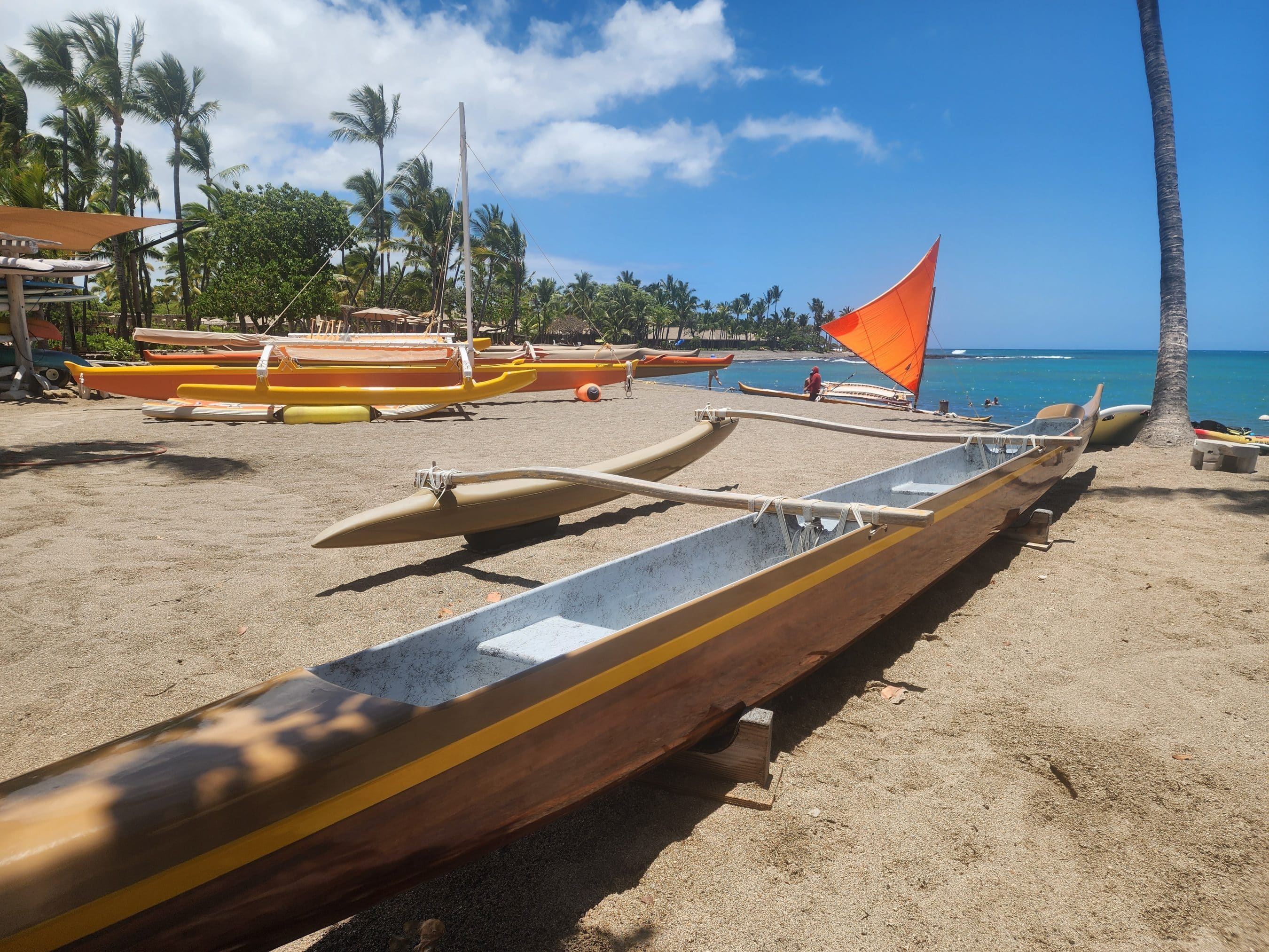 Beach scene with colorful outriggers and sails on the shore under a blue sky with palm trees behind the boats