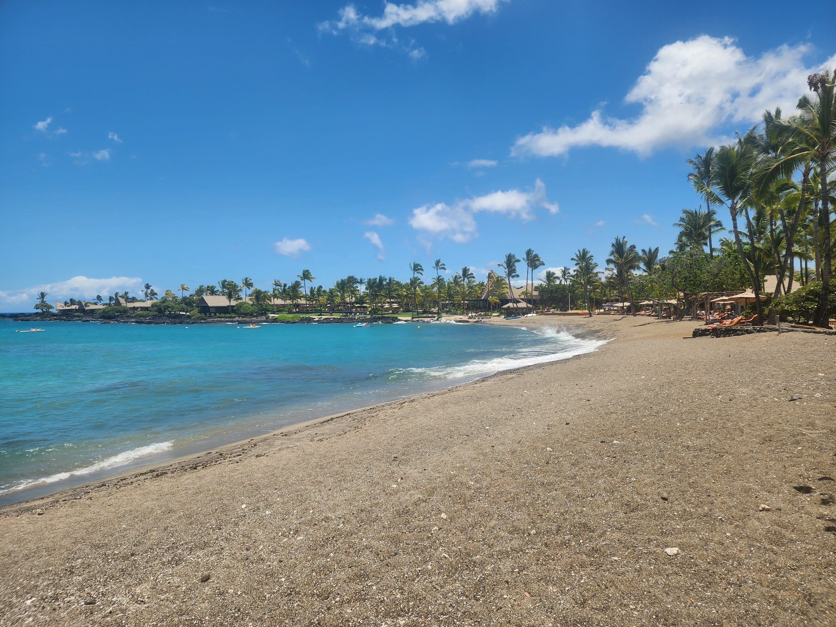 Tropical beach scene with turquoise water, a pebble shoreline, and tall palm trees under a bright blue sky.
