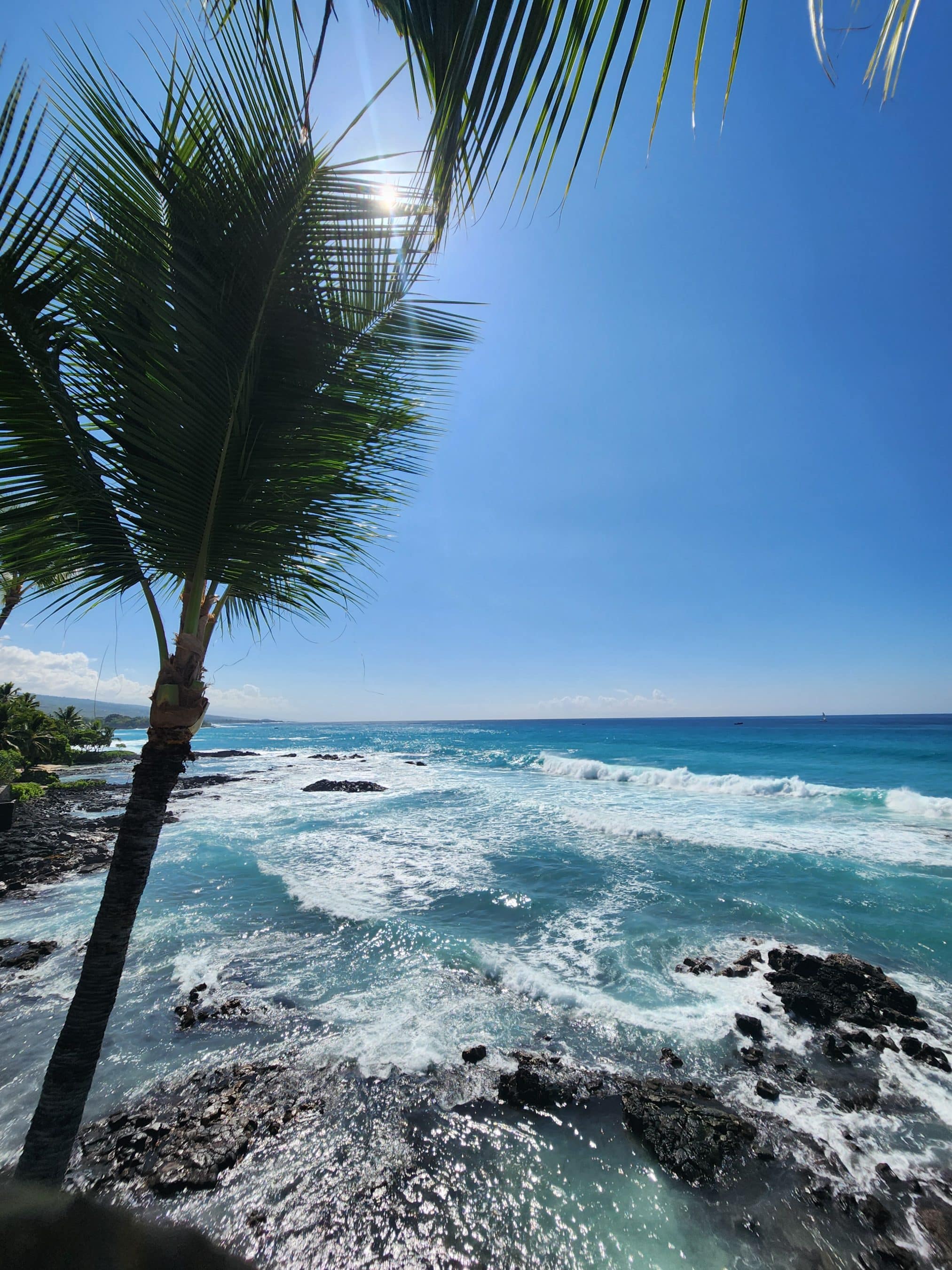 Palm tree leaning over a rocky shoreline with turquoise waves and a clear blue sky.
