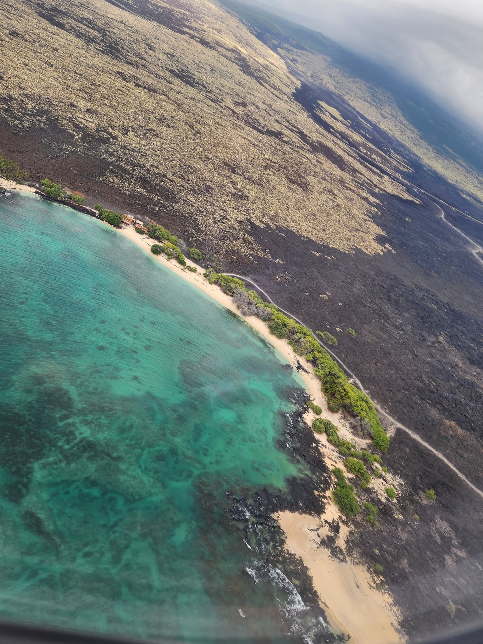 Aerial view of a lava-covered coastline meeting a turquoise sea, with a thin sandy beach and small cluster of green trees and buildings along the shore.