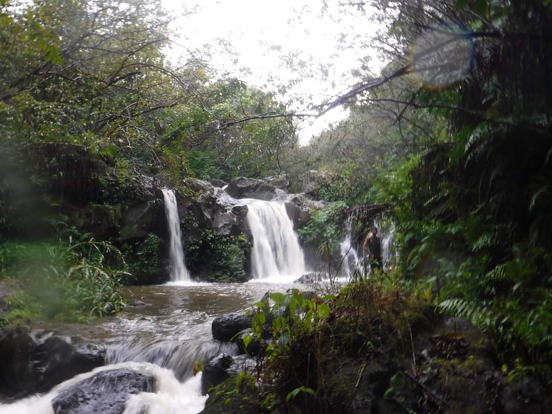 Waterfall flowing over rocks in a dense green jungle, with a person standing near the water on the right side.