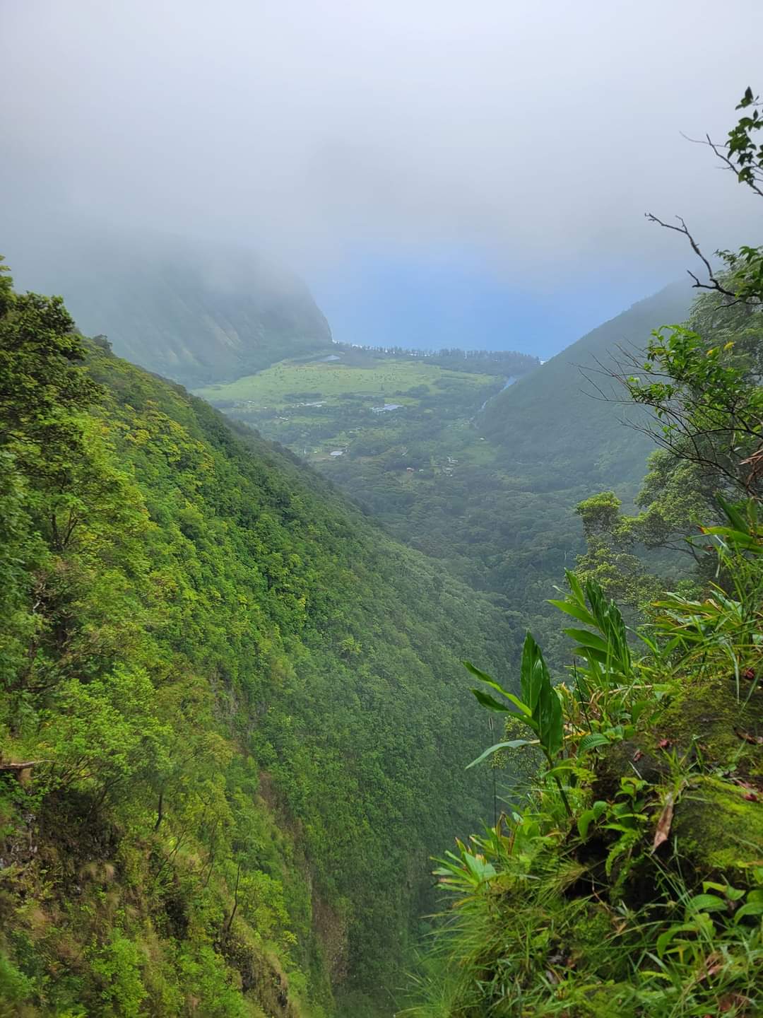 View from a cliff of a lush, forested valley with mist and distant blue sky over fields by the valley. (informative landscape)