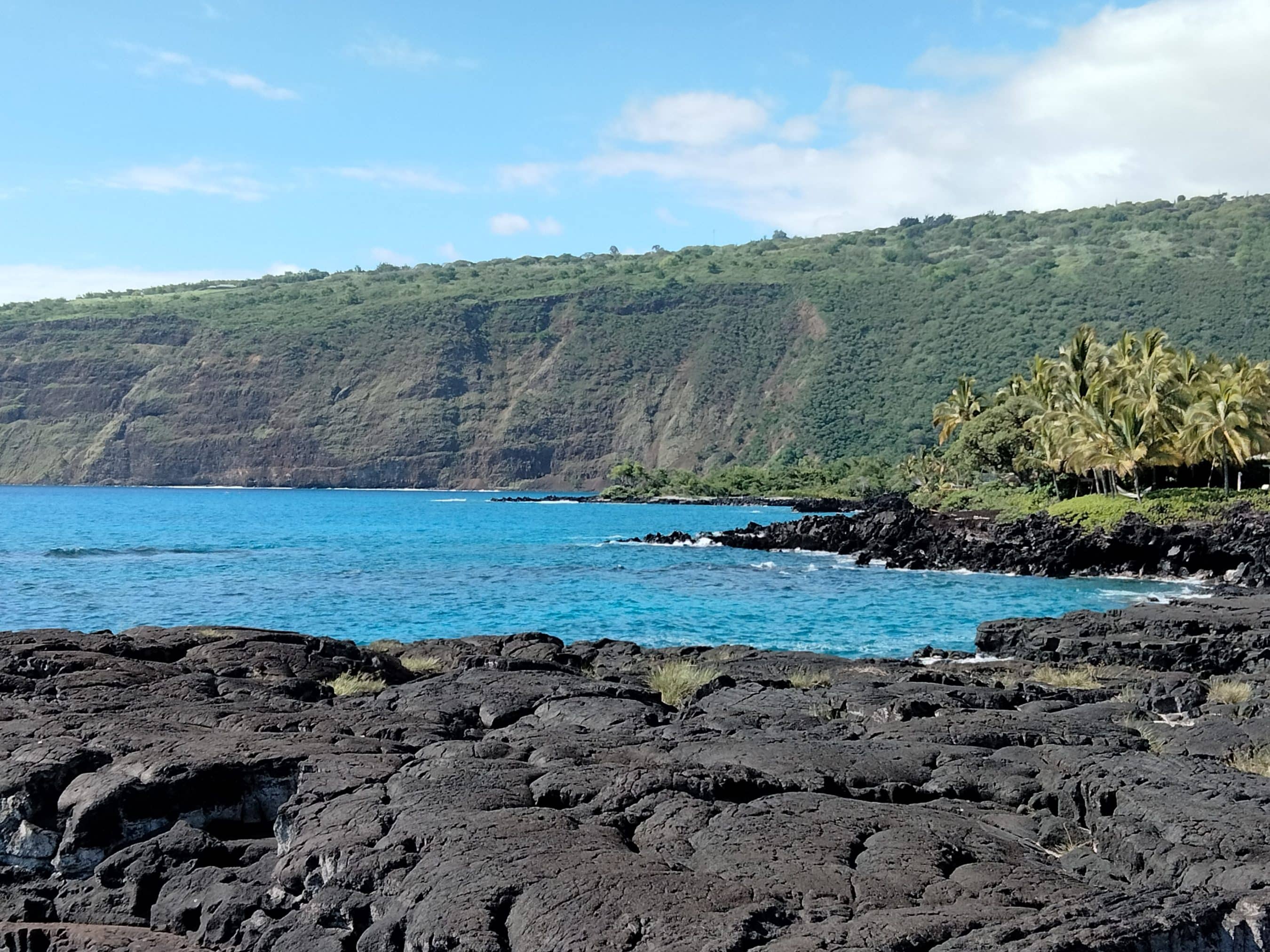 Rugged dark lava rocks along a blue ocean with a green hillside and palm trees in the distance under a bright sky