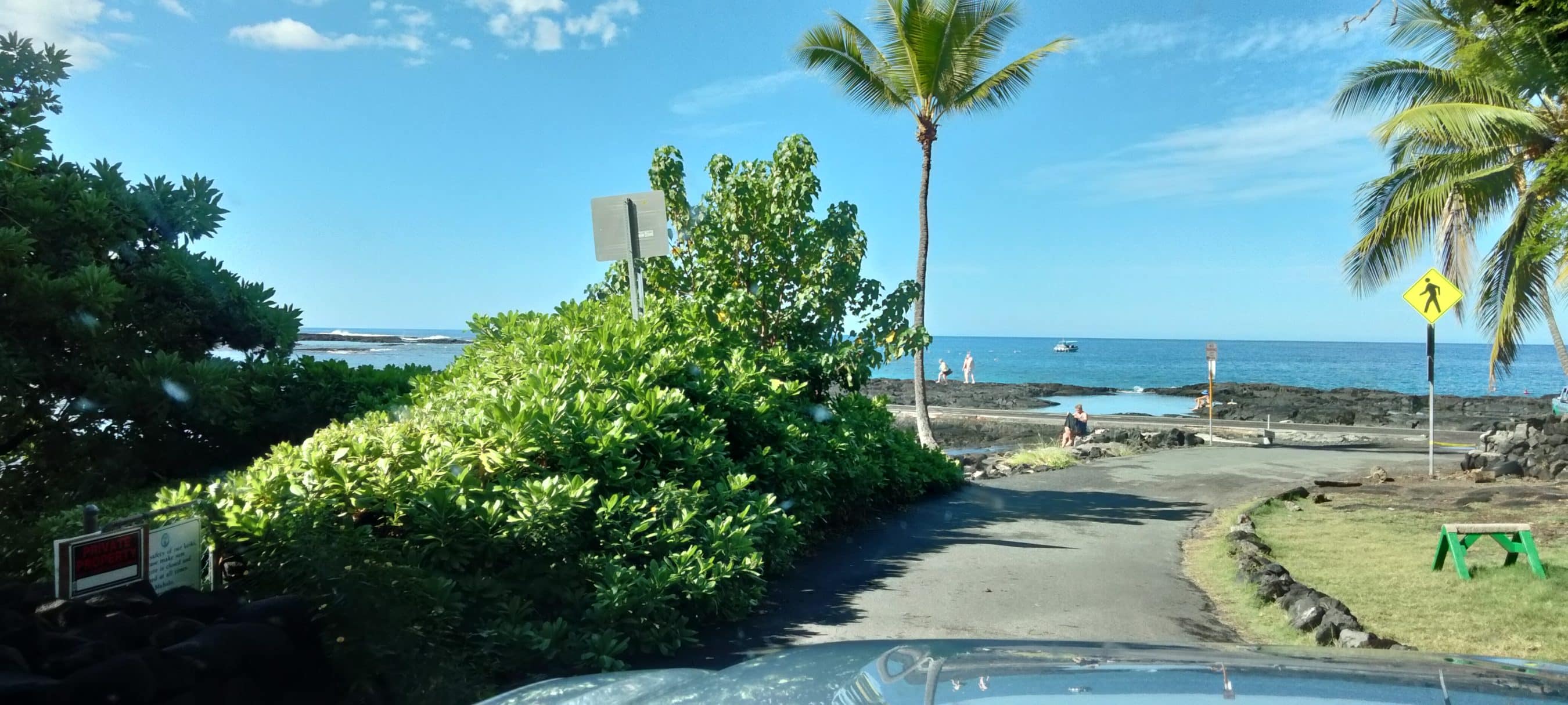 Coastal road with lush green shrubs, palm trees, and a blue ocean in the background under a clear sky.