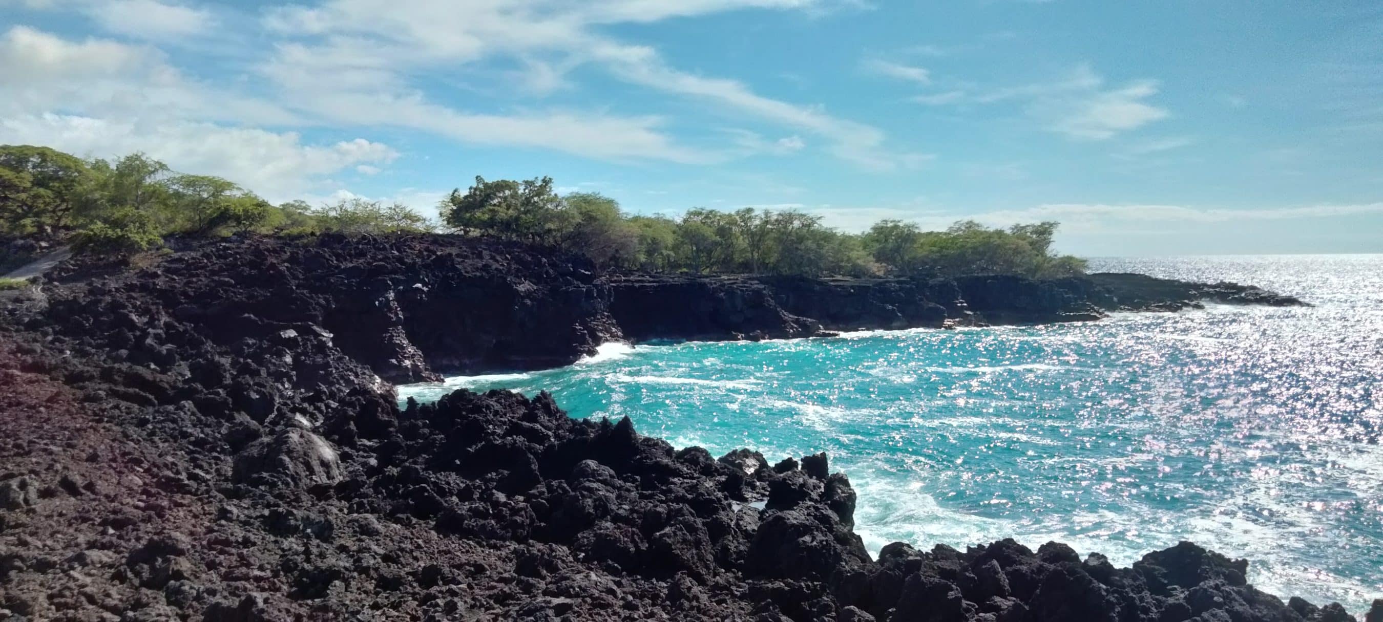 Rugged black lava rock coastline with turquoise waves and green trees under a blue sky.