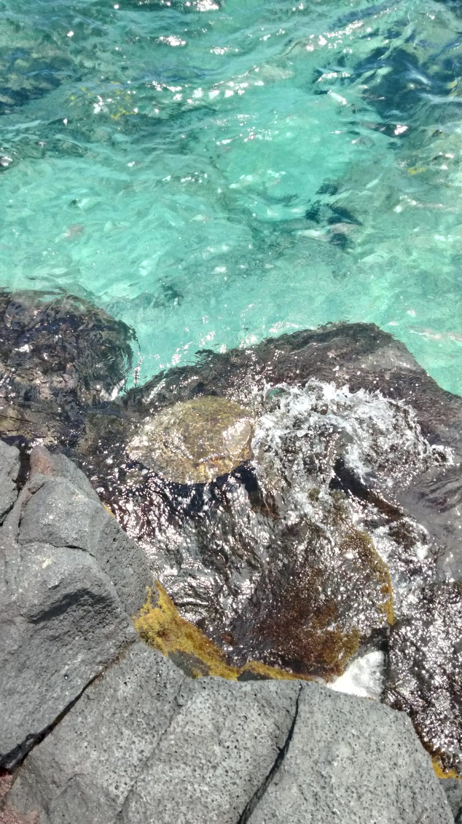 Turquoise seawater washing over dark, jagged rocks along a rocky shoreline.