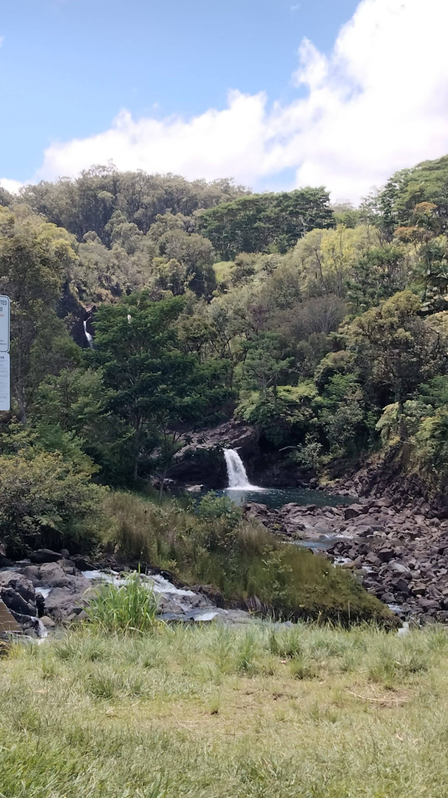 Waterfall cascading into a rocky pool in a dense, green forest under a blue sky.