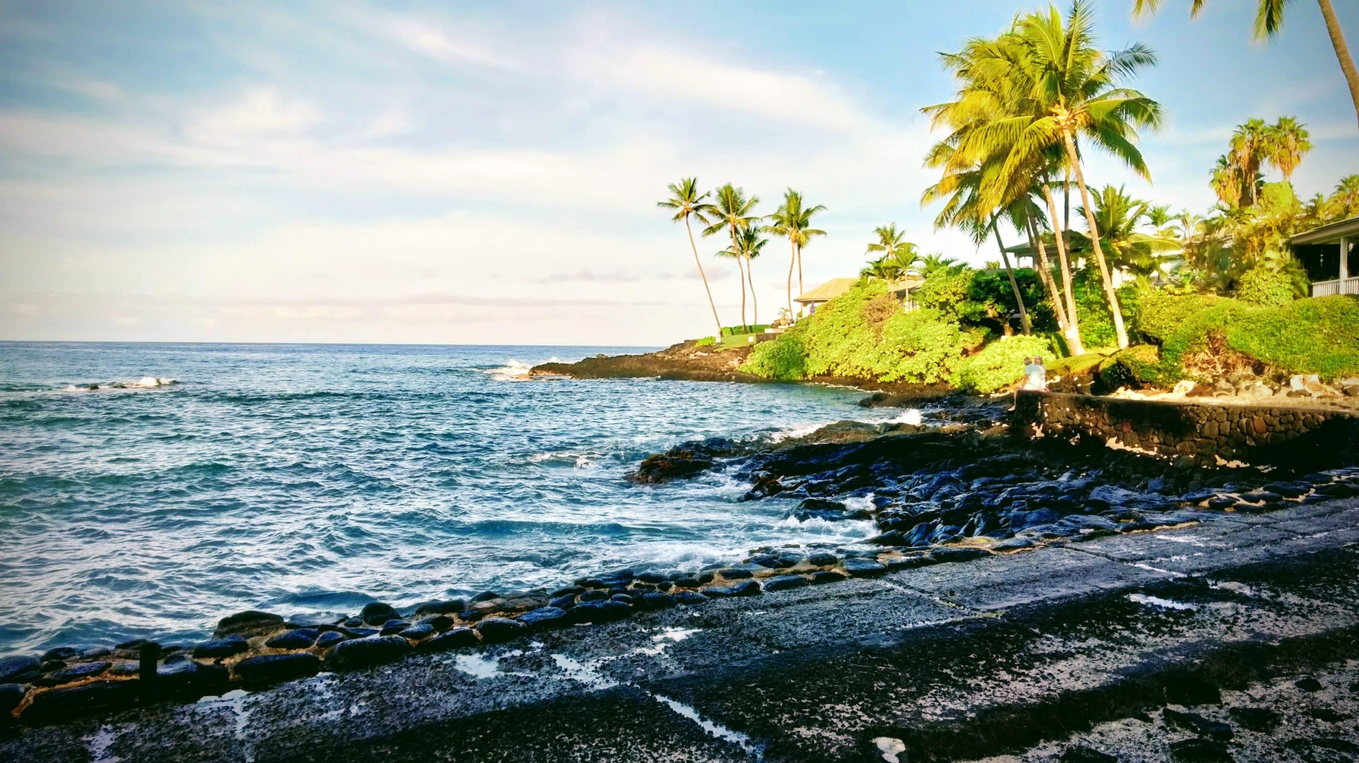 Tropical coastline with palm trees, rocky shore, and a house on a sunny day