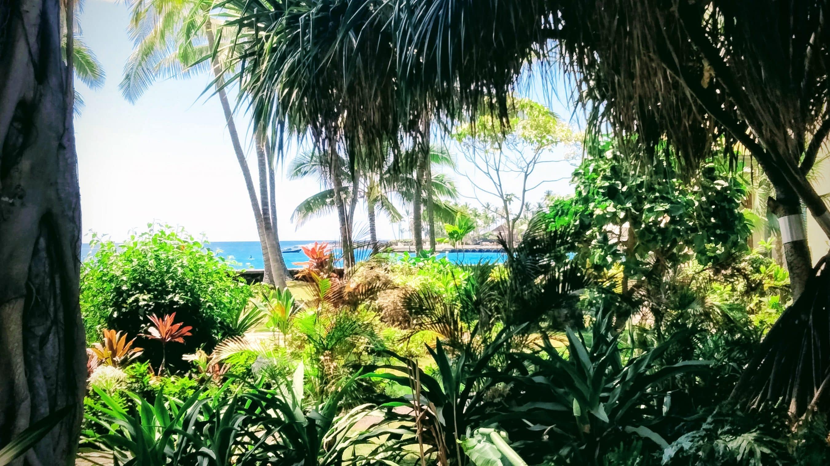 Lush tropical garden with palm trees framing a view of the blue ocean in the distance.