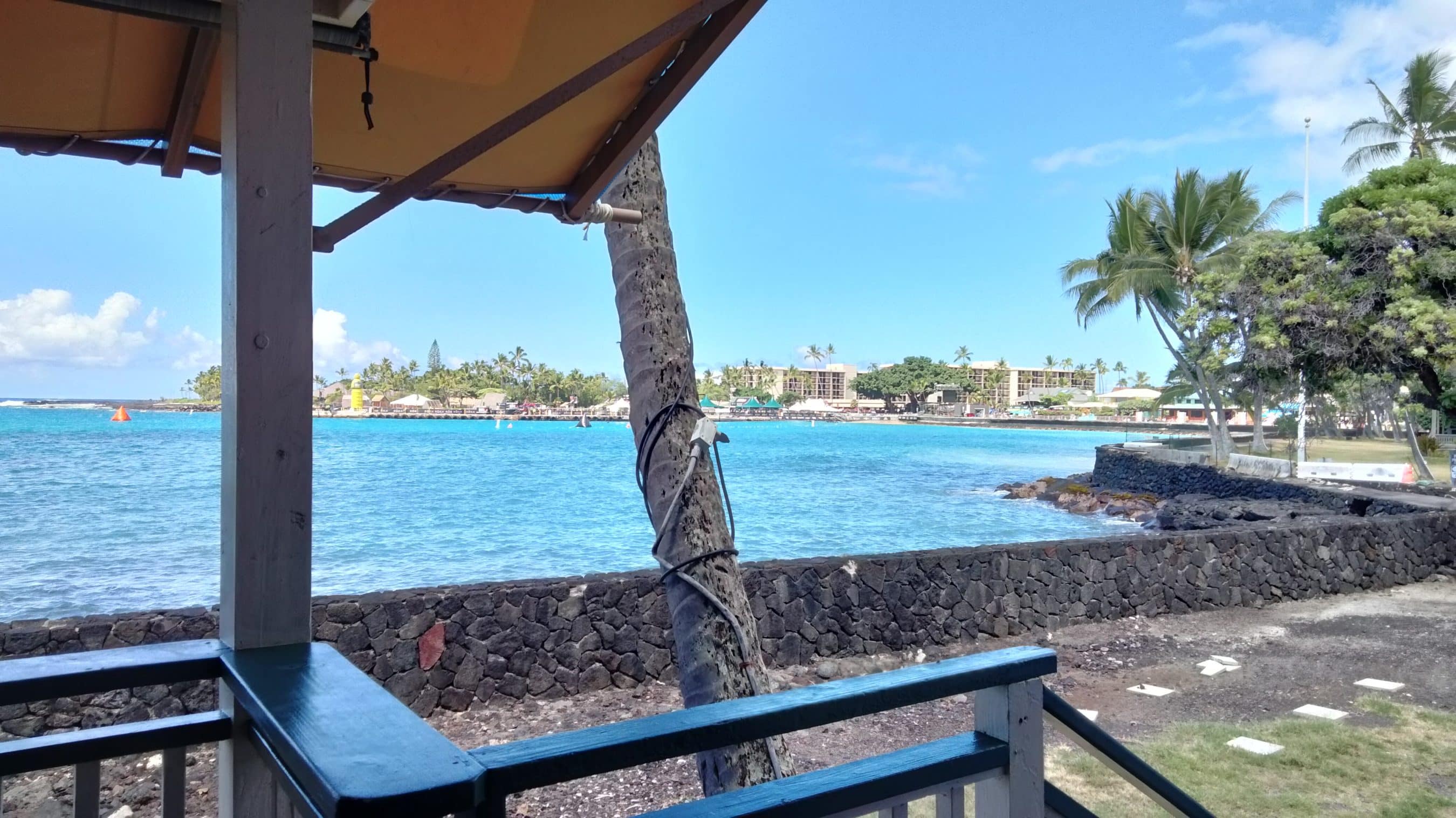 Seaside view from a shaded terrace: turquoise water, palm trees, and a stone seawall with buildings in the distance on a sunny day.