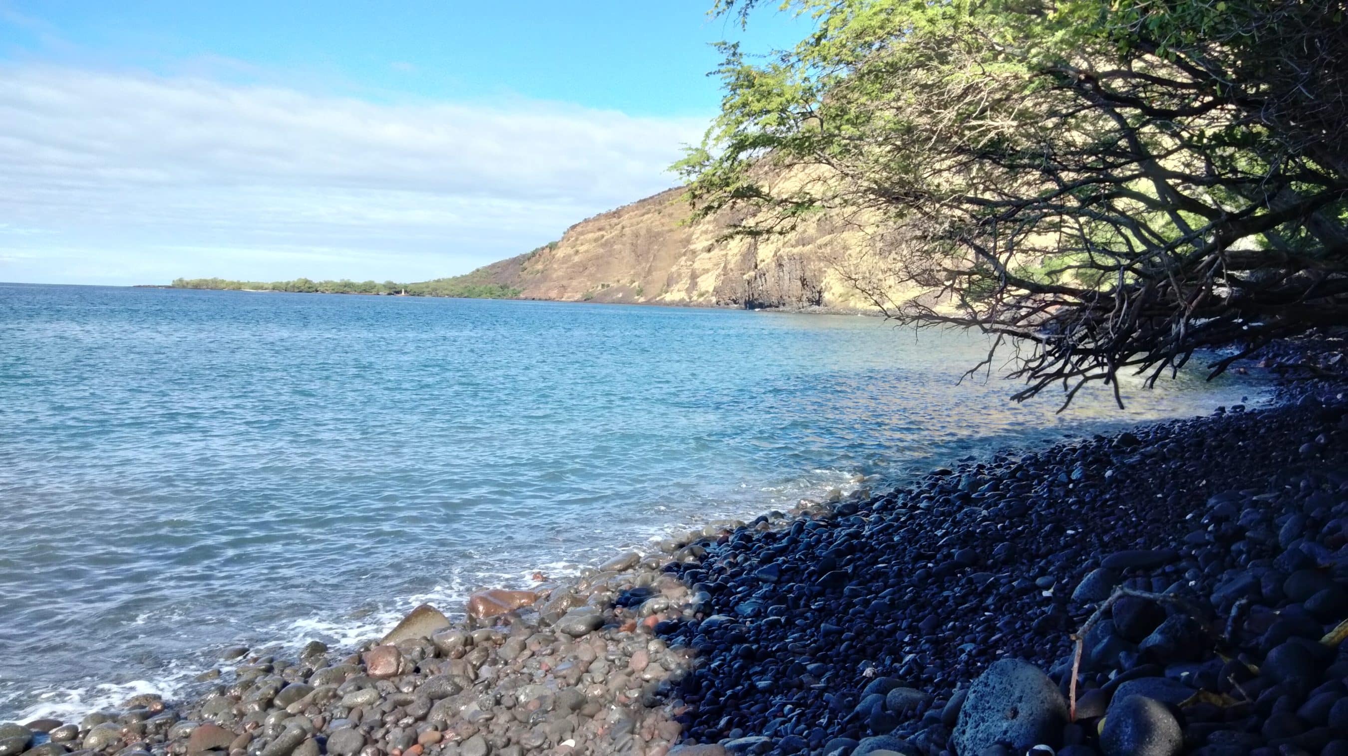 Pebble beach by calm blue sea with a rocky cliff and overhanging tree branches on the right.