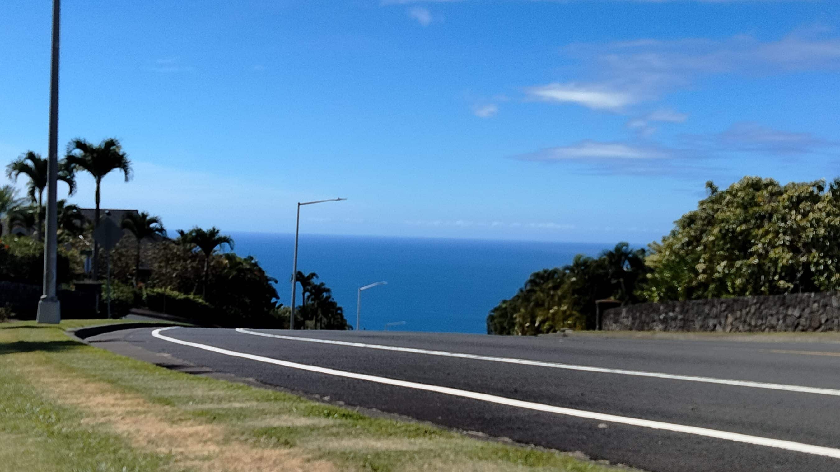 Curved coastal road with palm trees and a distant blue ocean under a clear sky.