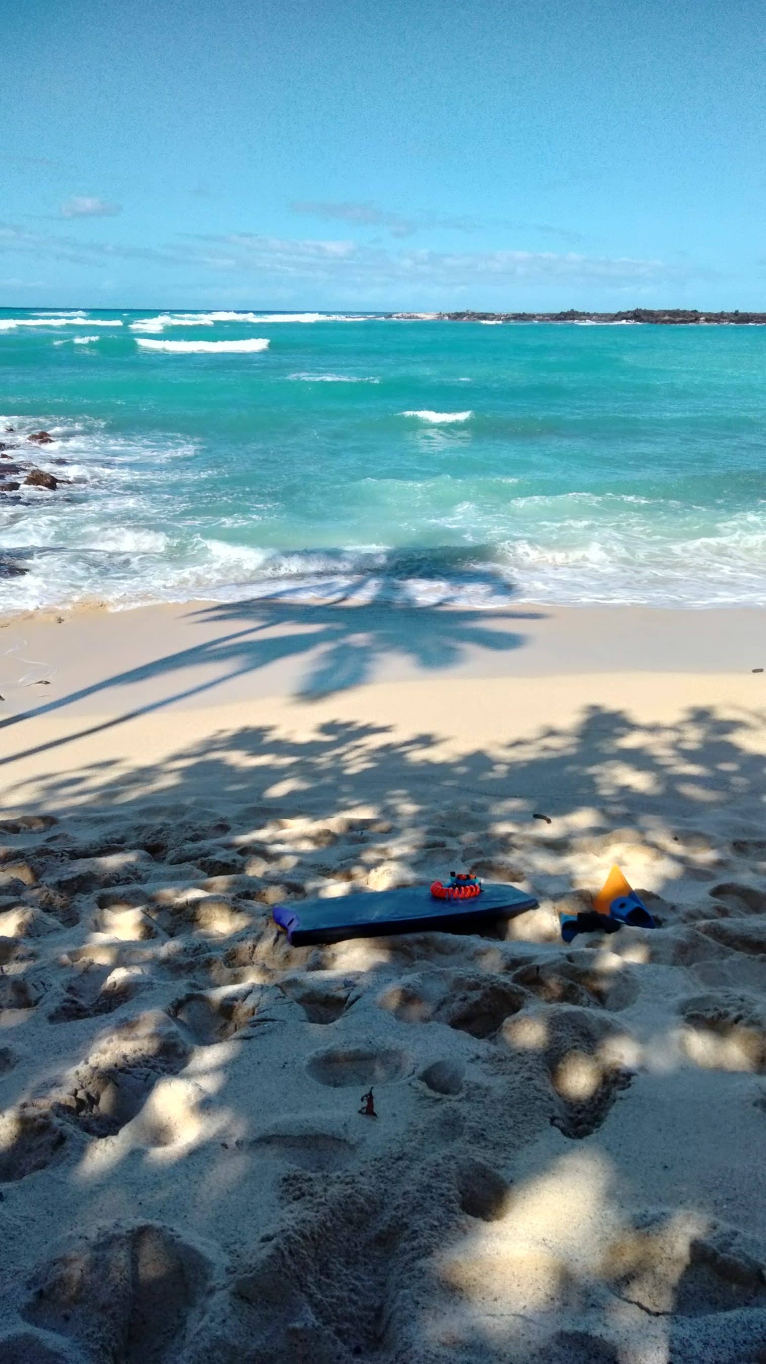 Sunny sandy beach with turquoise water, white surf, and a palm shadow cast on the shore; beach toys (board and small gear) lie in foreground.