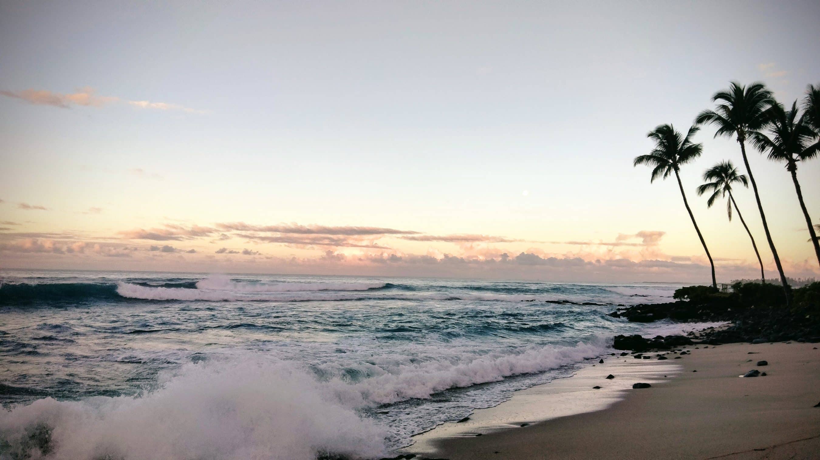 Sunset over the ocean with waves and silhouetted palm trees along the shore on the right side.