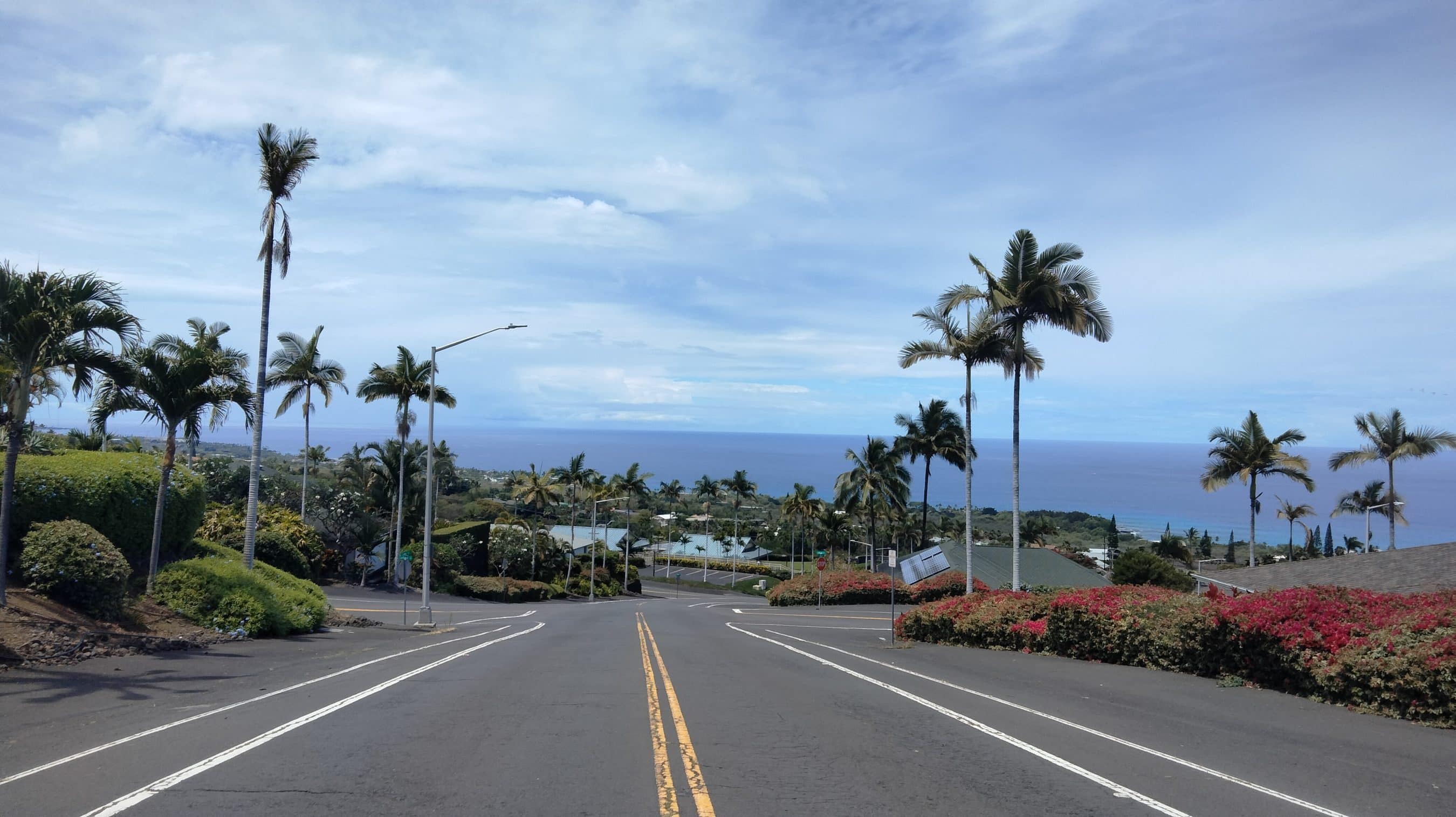 Coastal street lined with tall palm trees, ocean visible in the distance under a blue sky with few clouds.