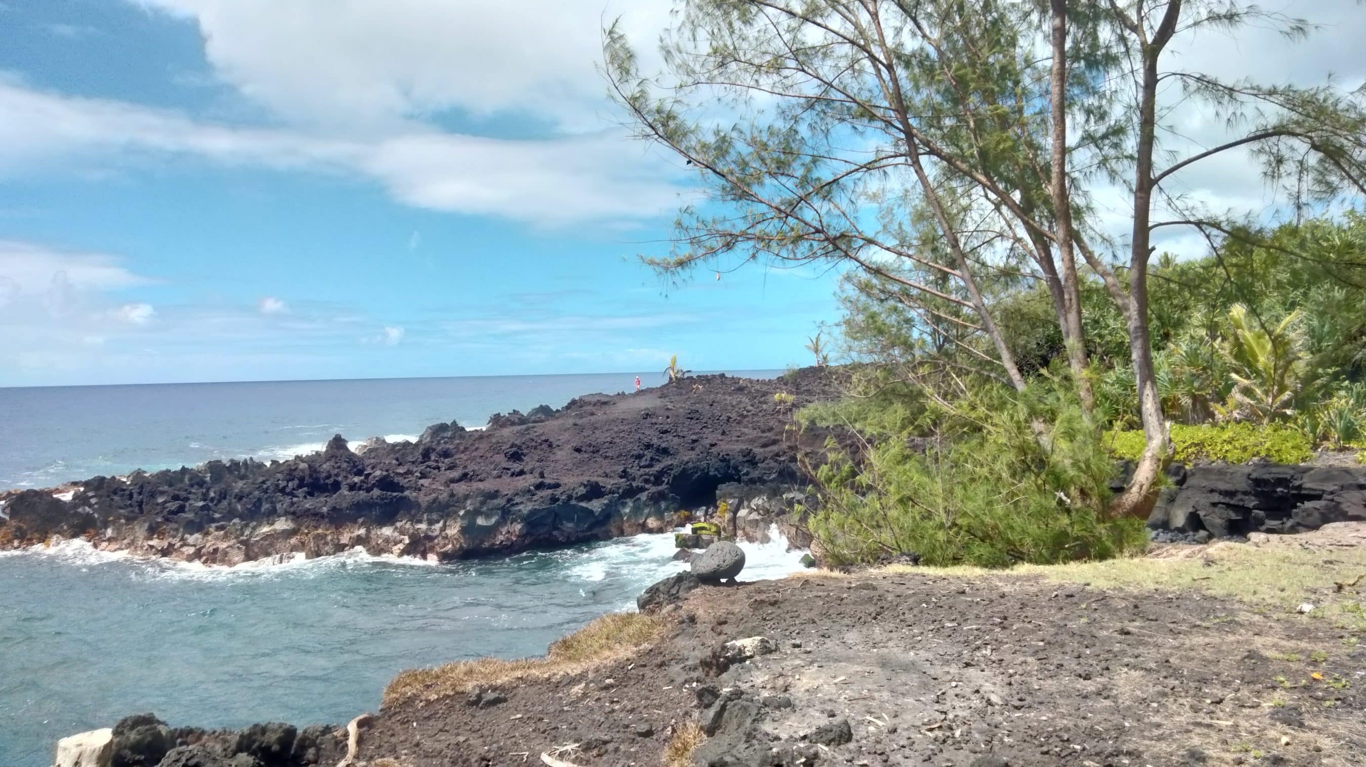 rocky shoreline with dark volcanic rocks meeting blue ocean and gentle waves under a partly cloudy sky; tropical trees on the right edge