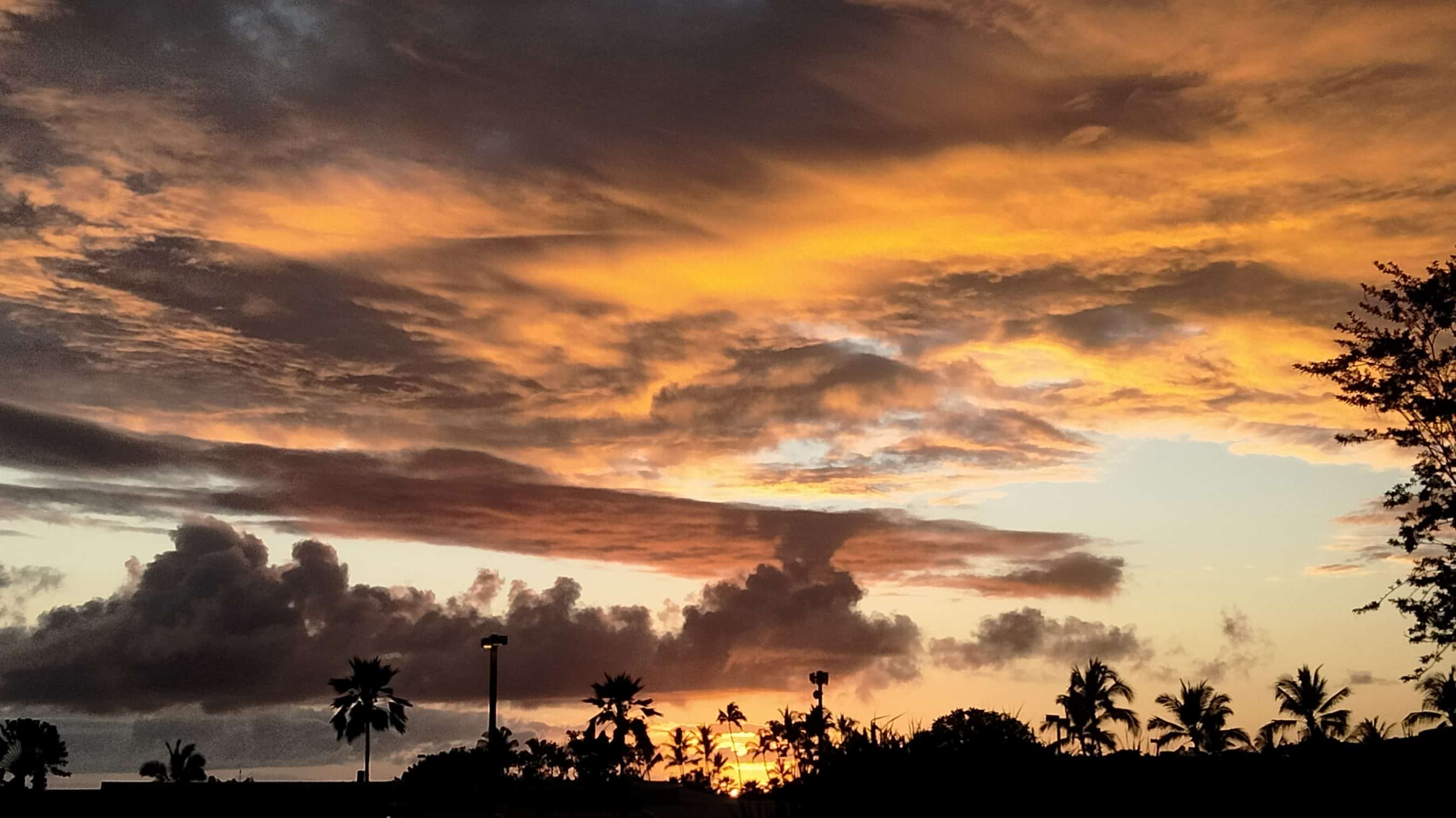 Colorful sunset sky with orange and gold clouds over silhouettes of palm trees along a tropical horizon.