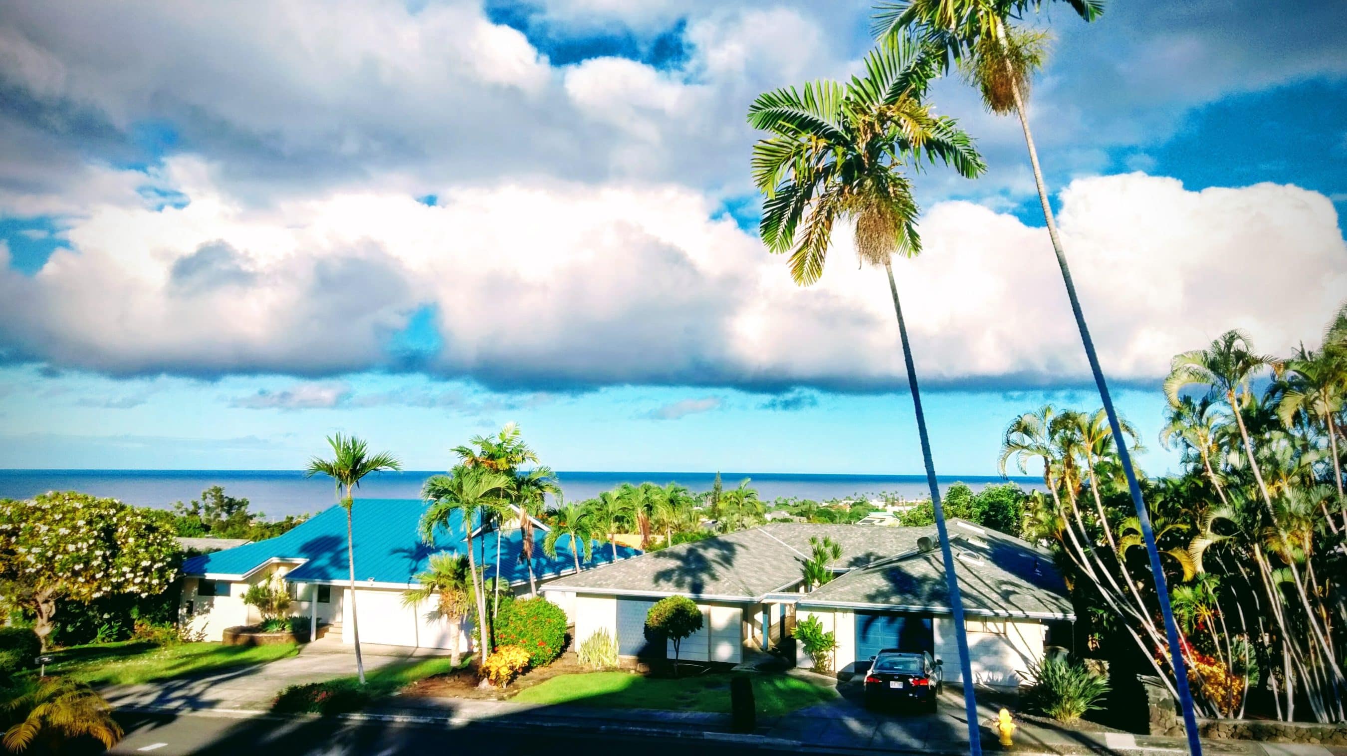 Coastal suburban scene with palm trees, blue roofs, and the ocean on the horizon under a partly cloudy sky.