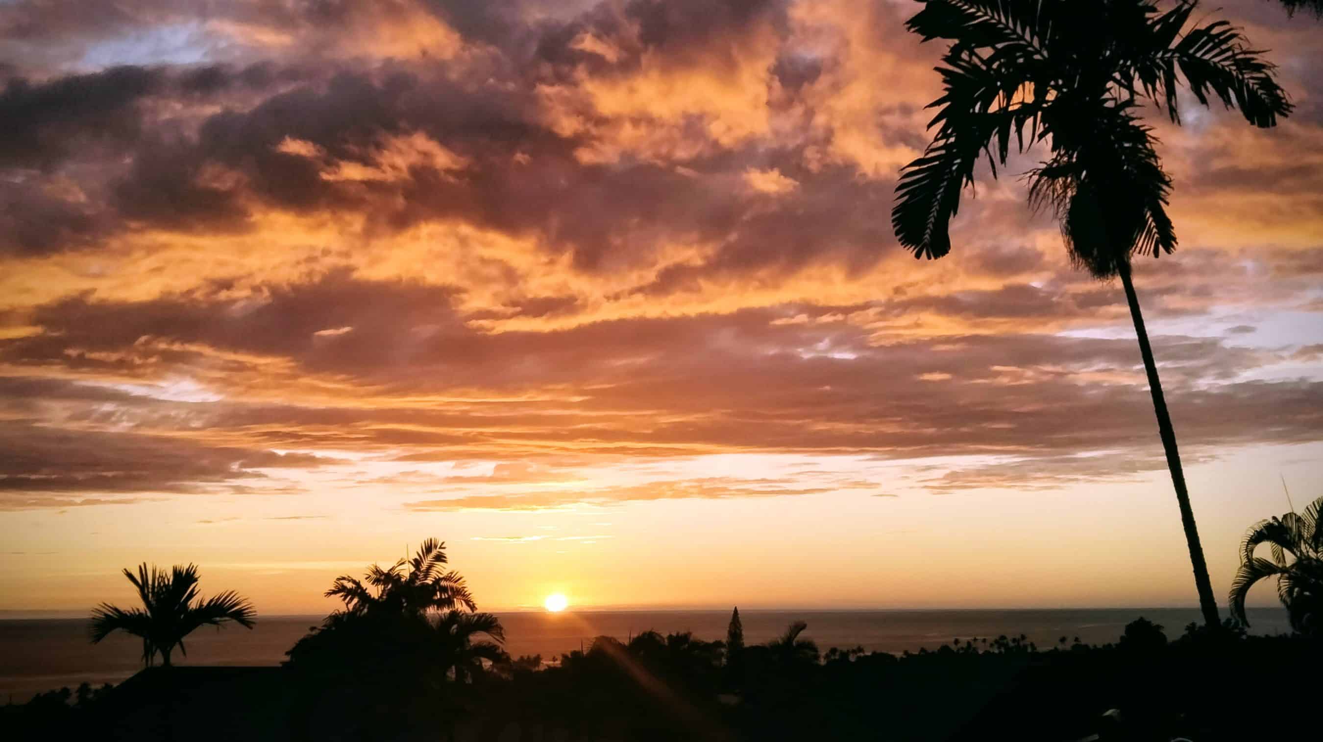 Silhouetted palm trees against a fiery sunset over the calm ocean shoreline.