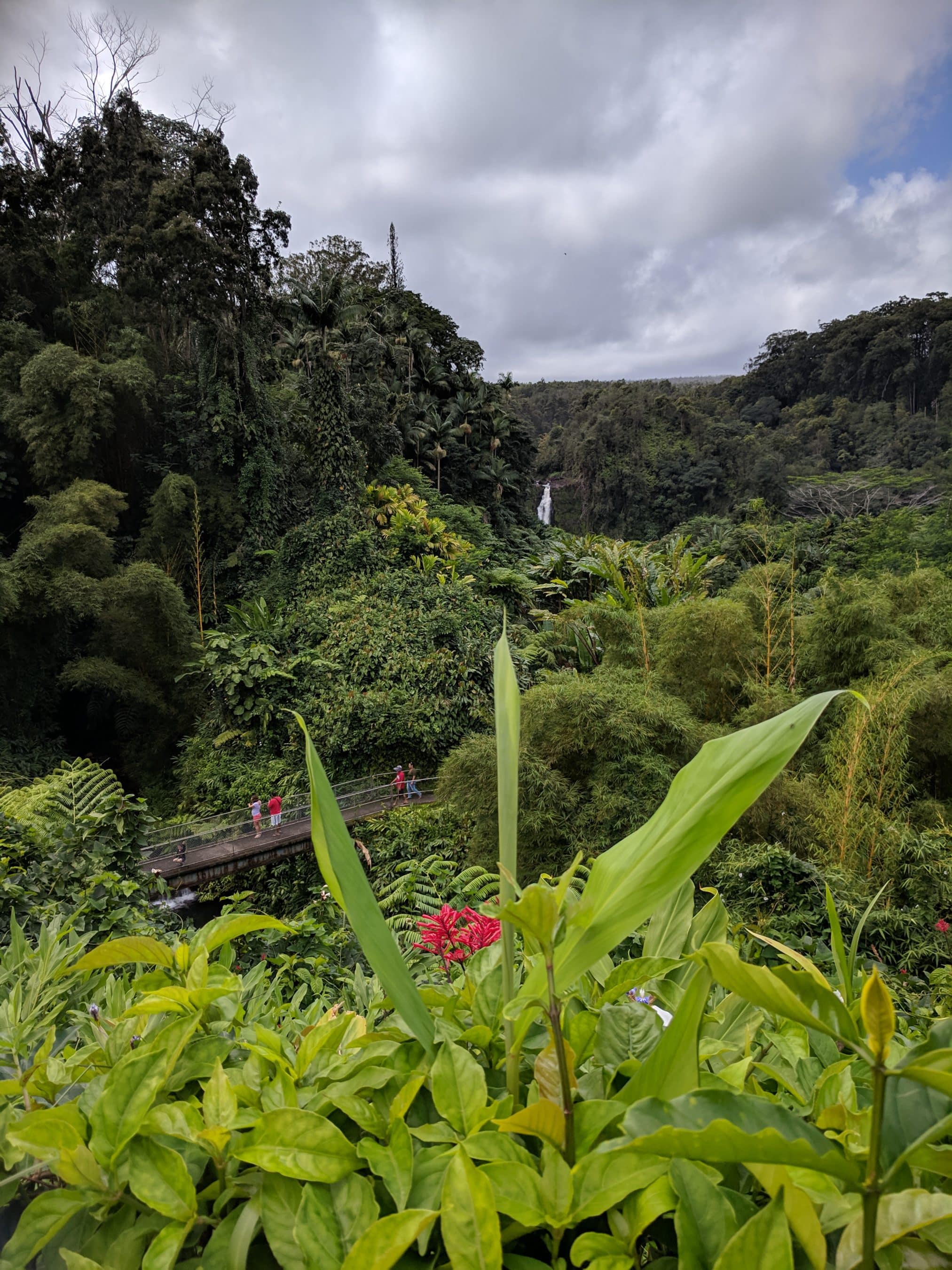 Lush tropical jungle with a narrow bridge and hikers, a distant waterfall visible among dense trees under a cloudy sky.