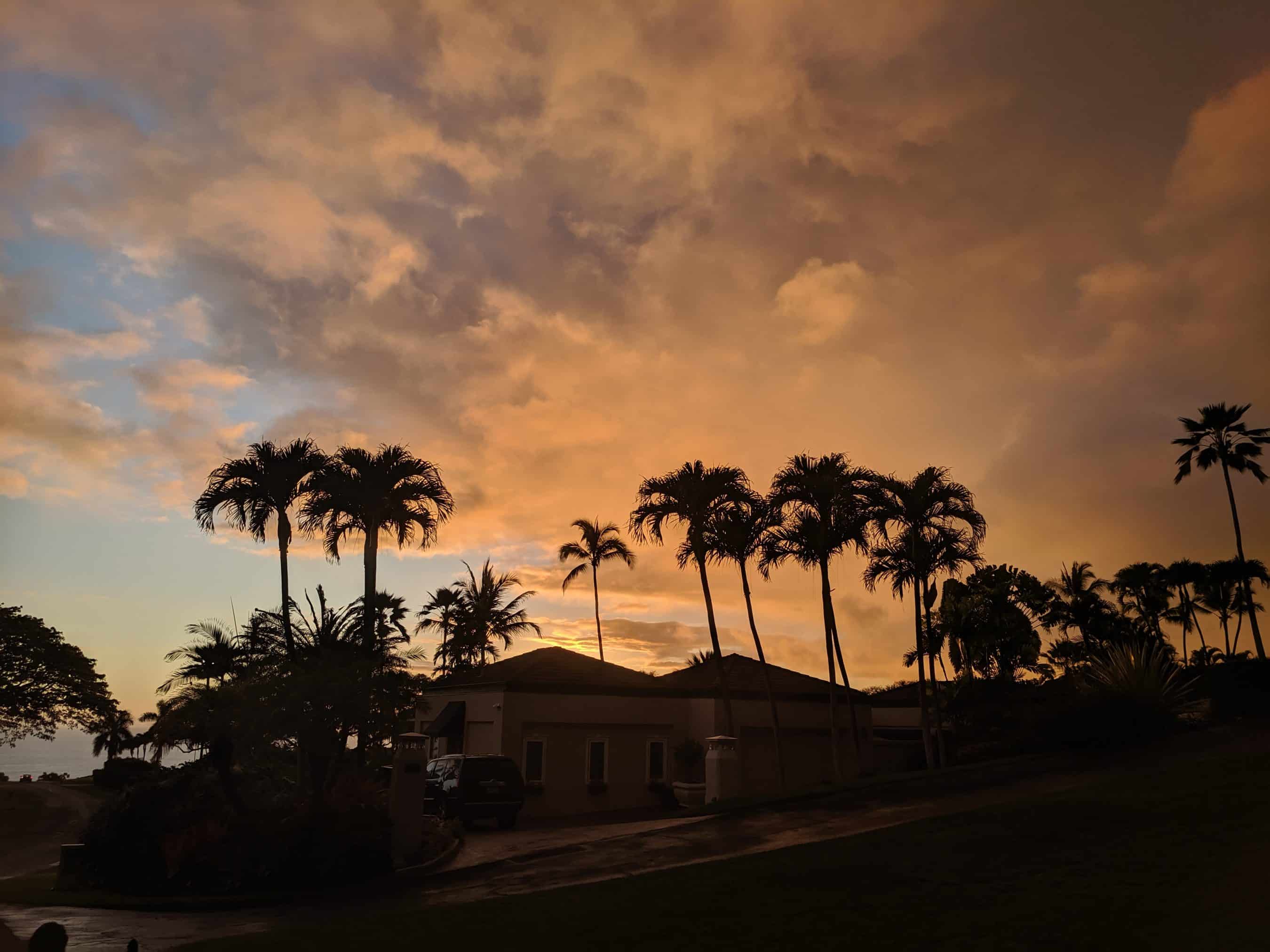 Silhouetted palm trees along a street at sunset with orange-pink clouds in the sky.