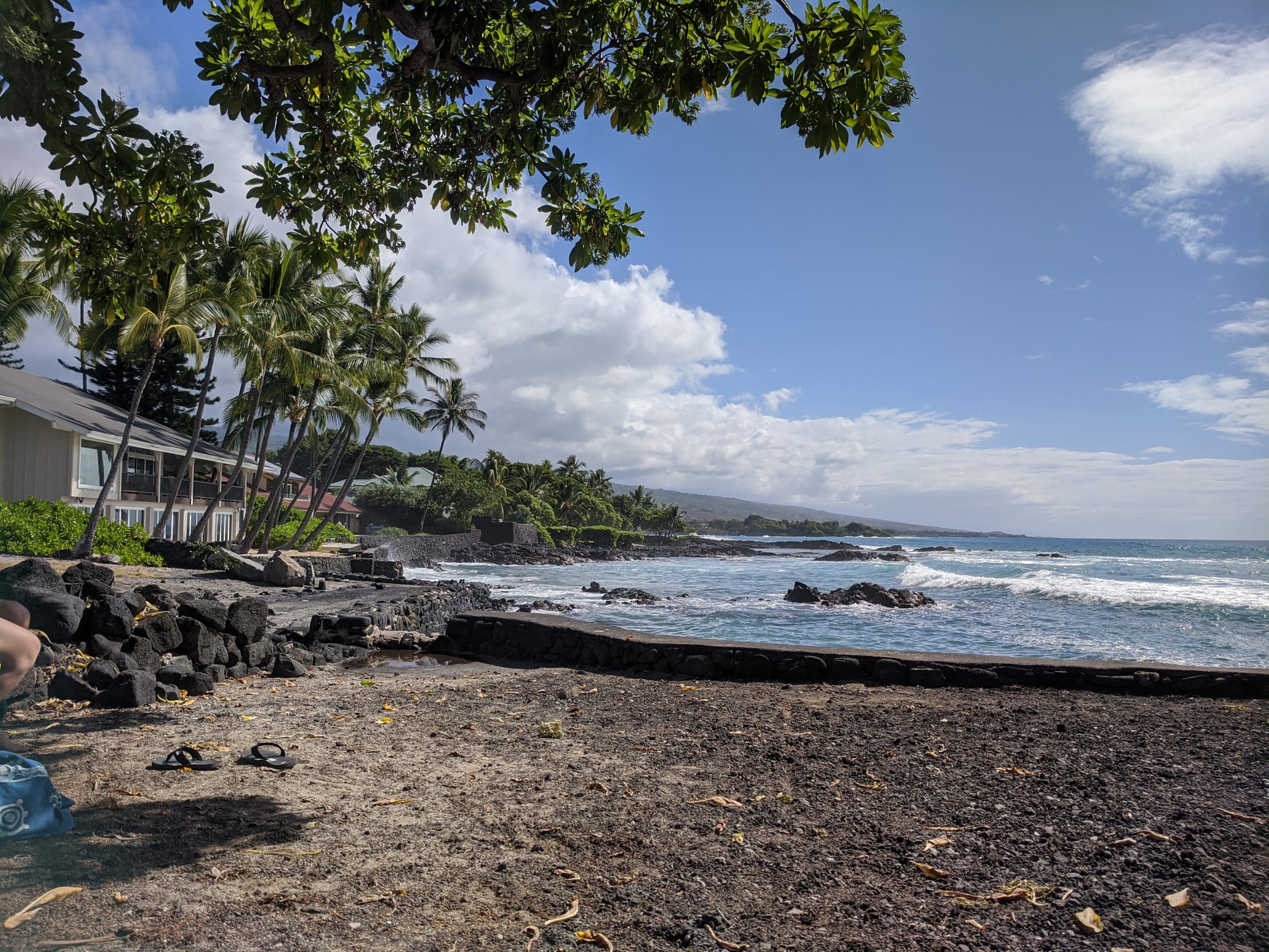 Tropical beachfront with palm trees, a rocky shoreline, and a calm blue ocean under a bright sky.