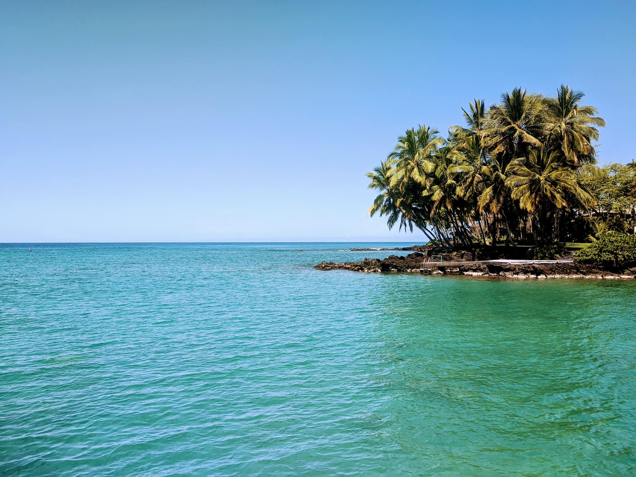 Blue sky over calm turquoise sea with a cluster of palm trees on a rocky shoreline to the right, tropical scene.