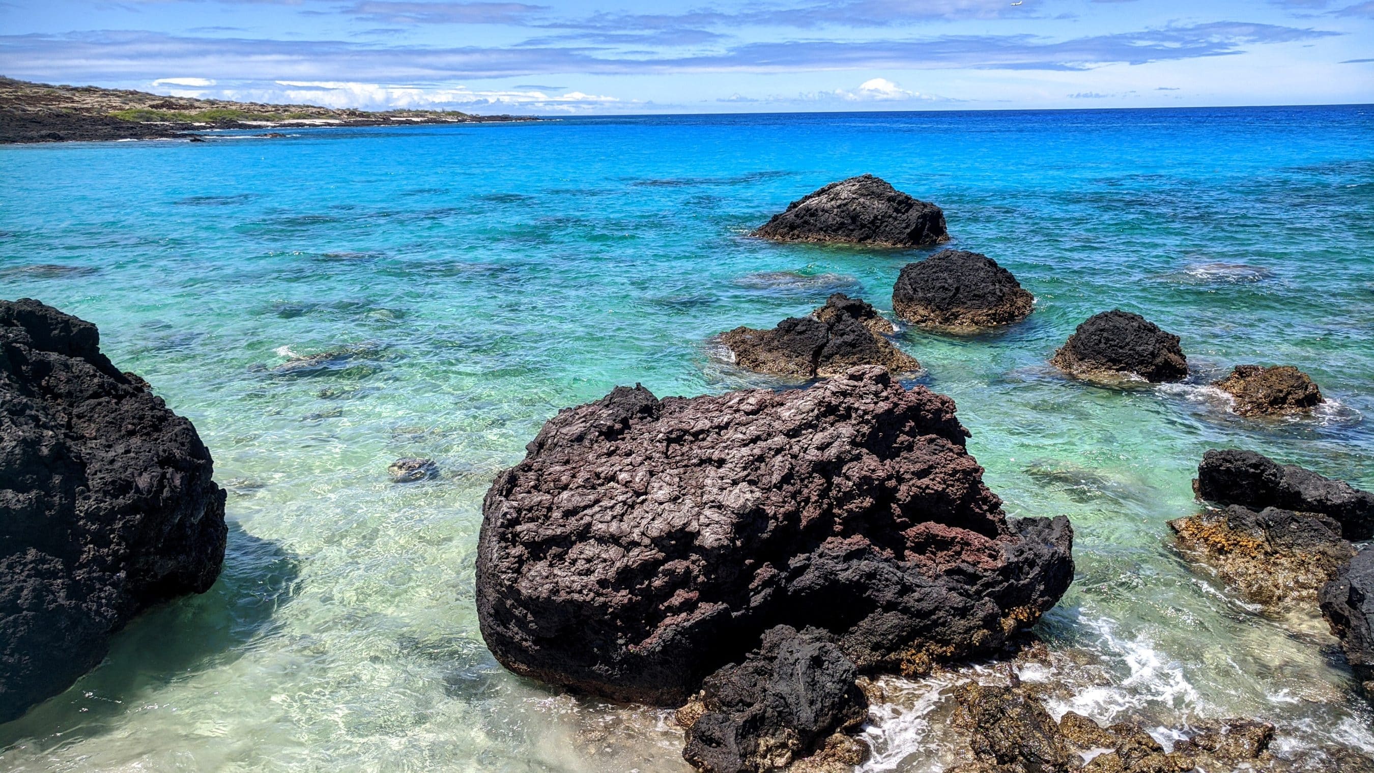 Clear turquoise water washes over dark jagged rocks along a sunny shoreline.
