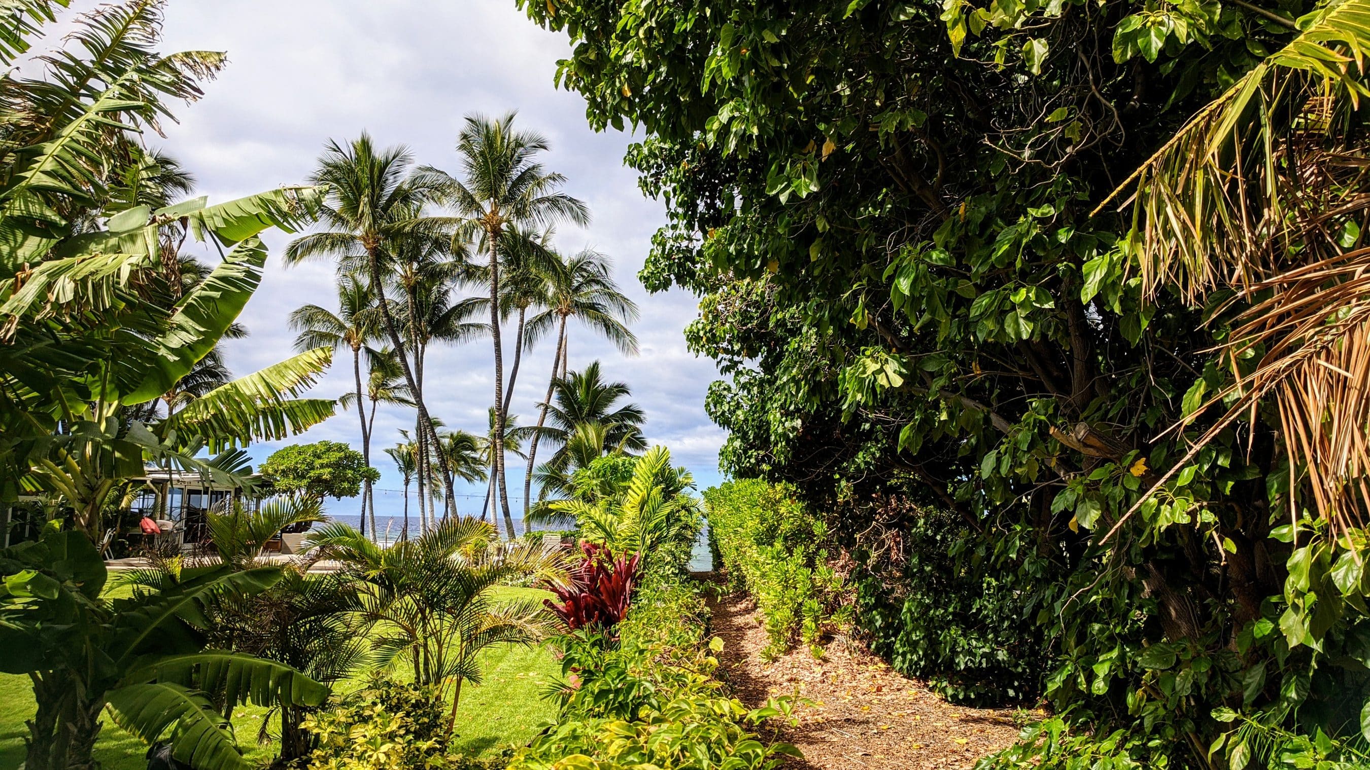 Tropical garden path with banana leaves and tall palm trees, ocean visible in the background, under a cloudy sky.