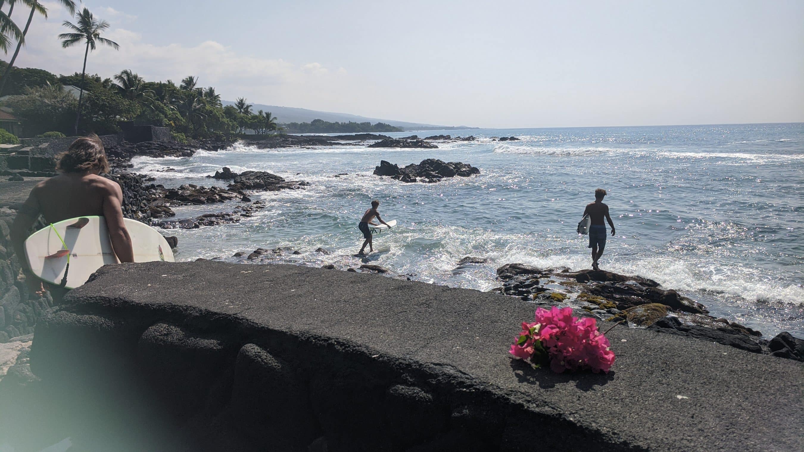 Two surfers walk toward the water along a rocky tropical coast with palm trees and pink flowers in the foreground.