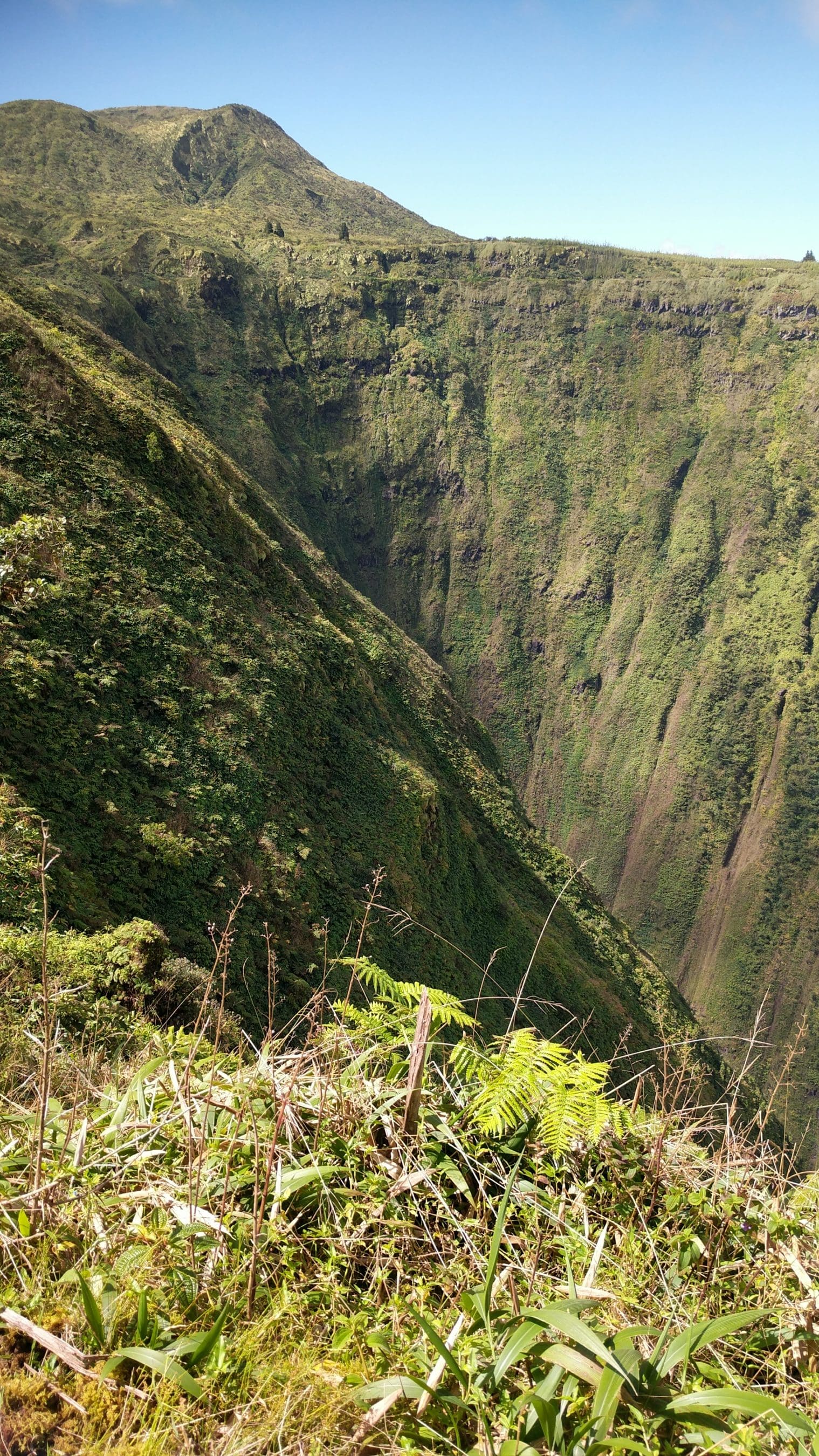 Deep green volcanic crater with steep, mossy walls and a clear blue sky, seen from above with foreground grasses.