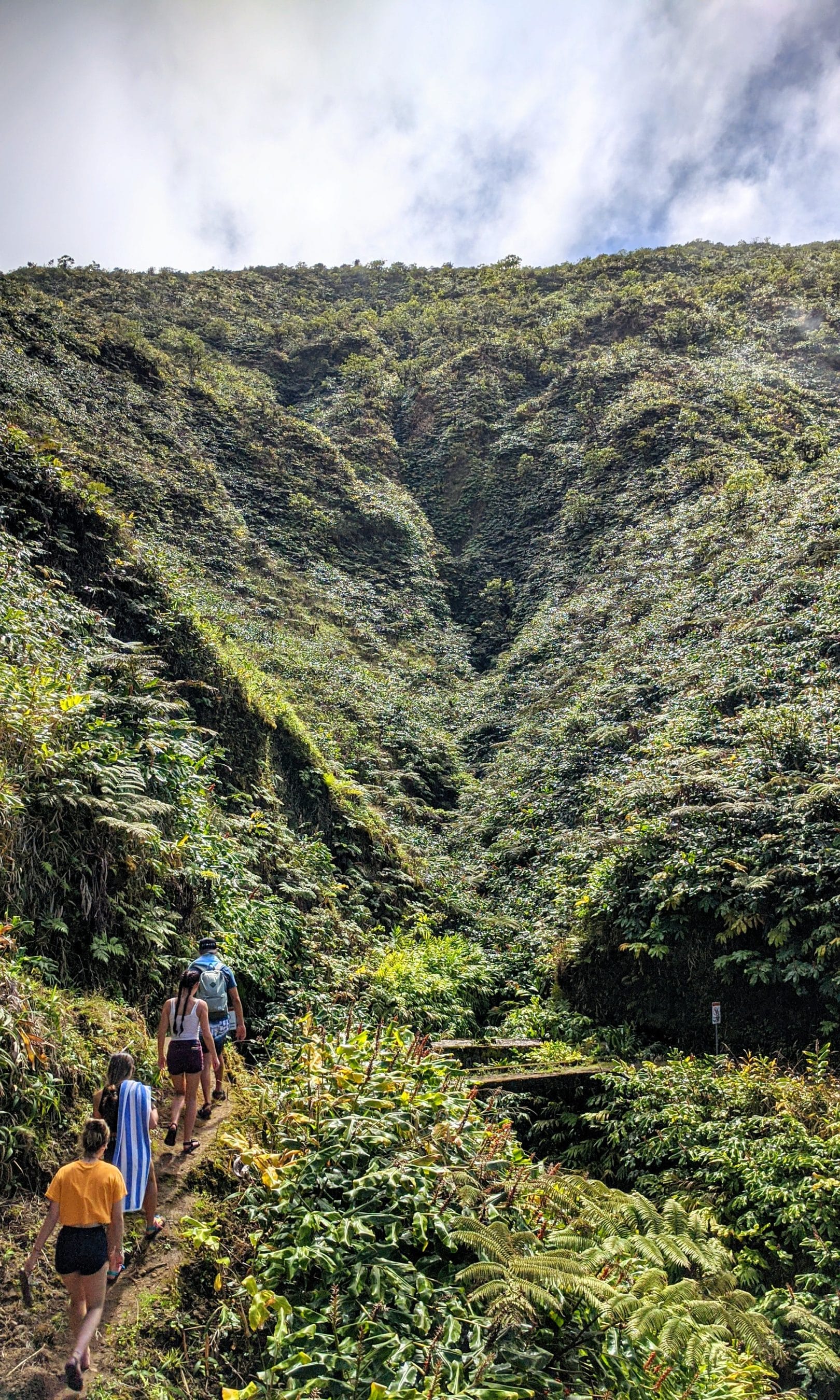 Group of hikers walking along a narrow dirt trail through a lush, dense canyon with steep, vegetation-covered walls and a cloudy sky above.