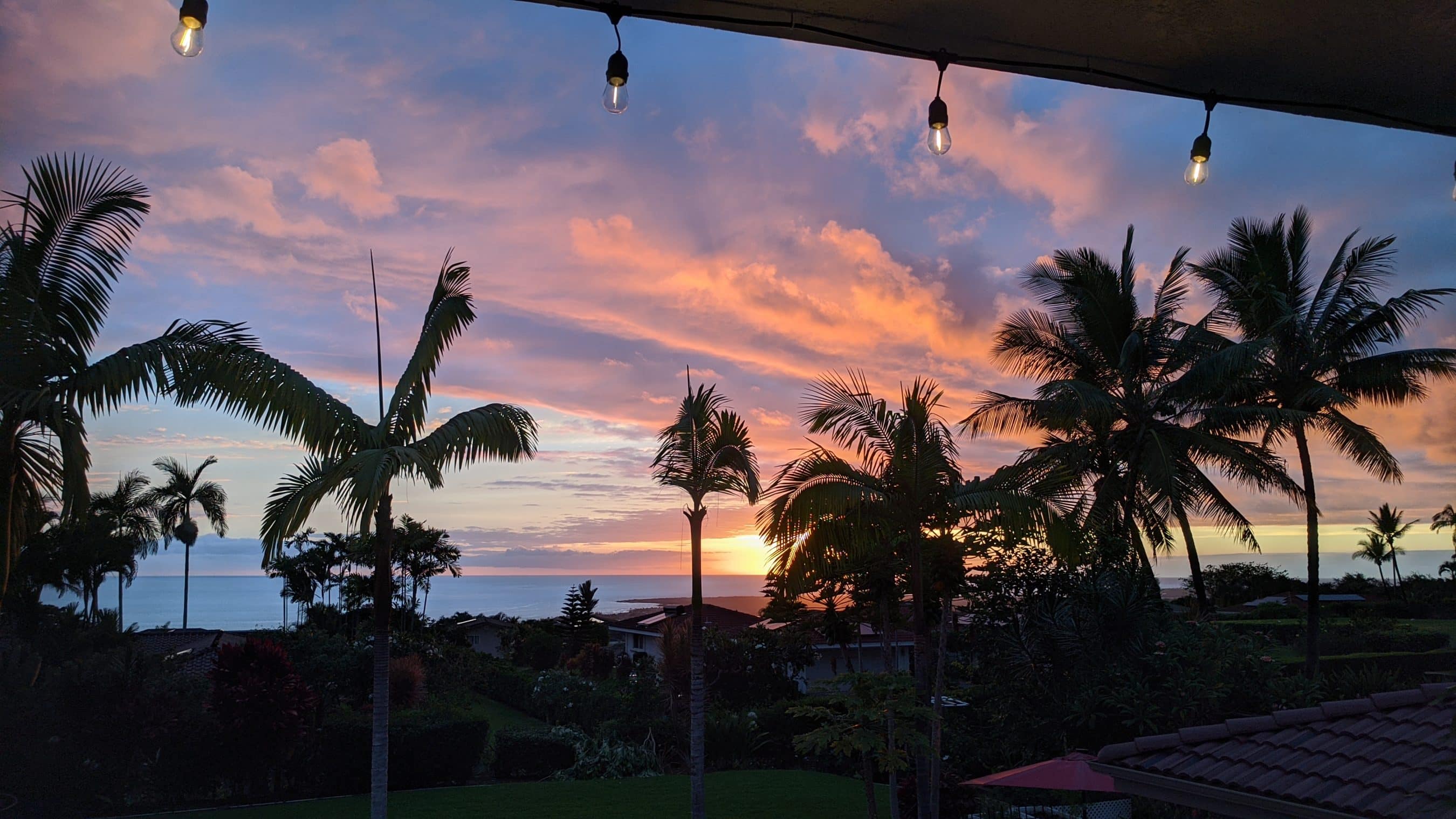Sunset over a tropical garden with silhouetted palm trees, a calm sea in the distance, and string lights overhead.