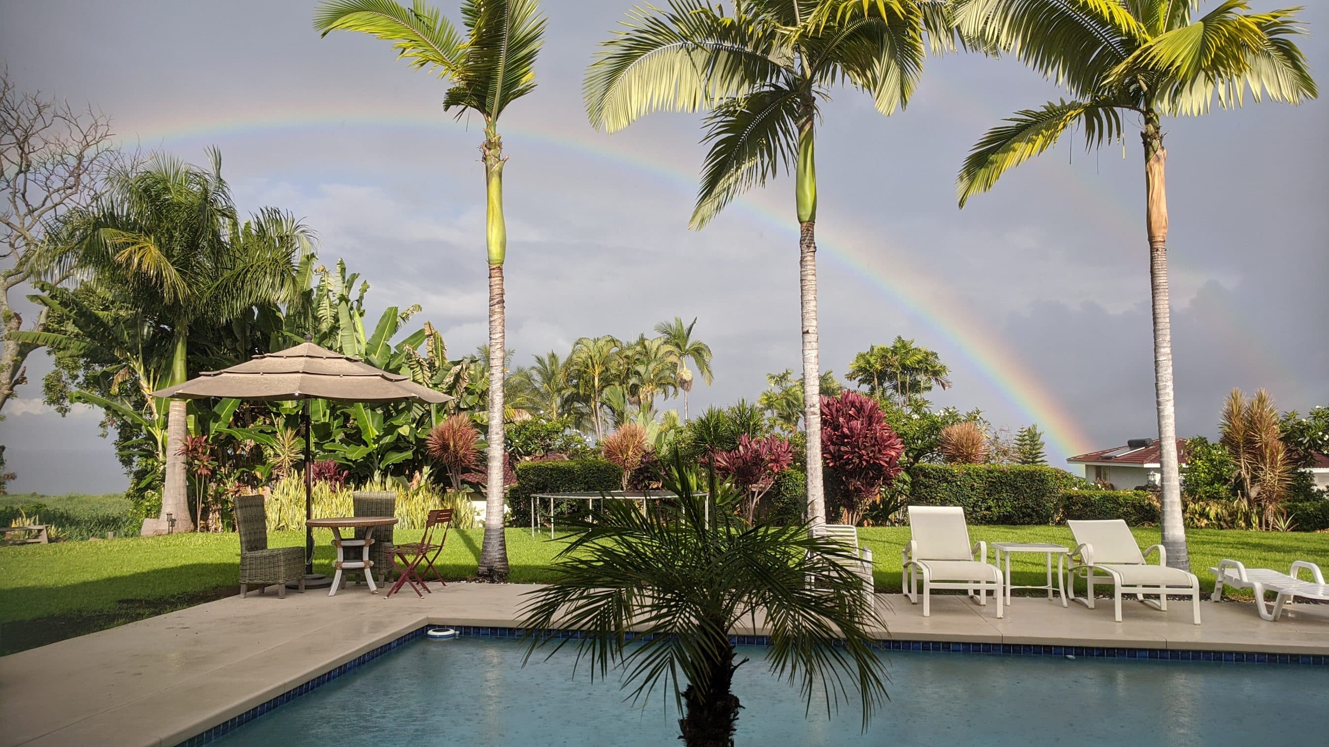 Rainbow arcs over a tropical pool area with palm trees, lounge chairs, and a beige umbrella.