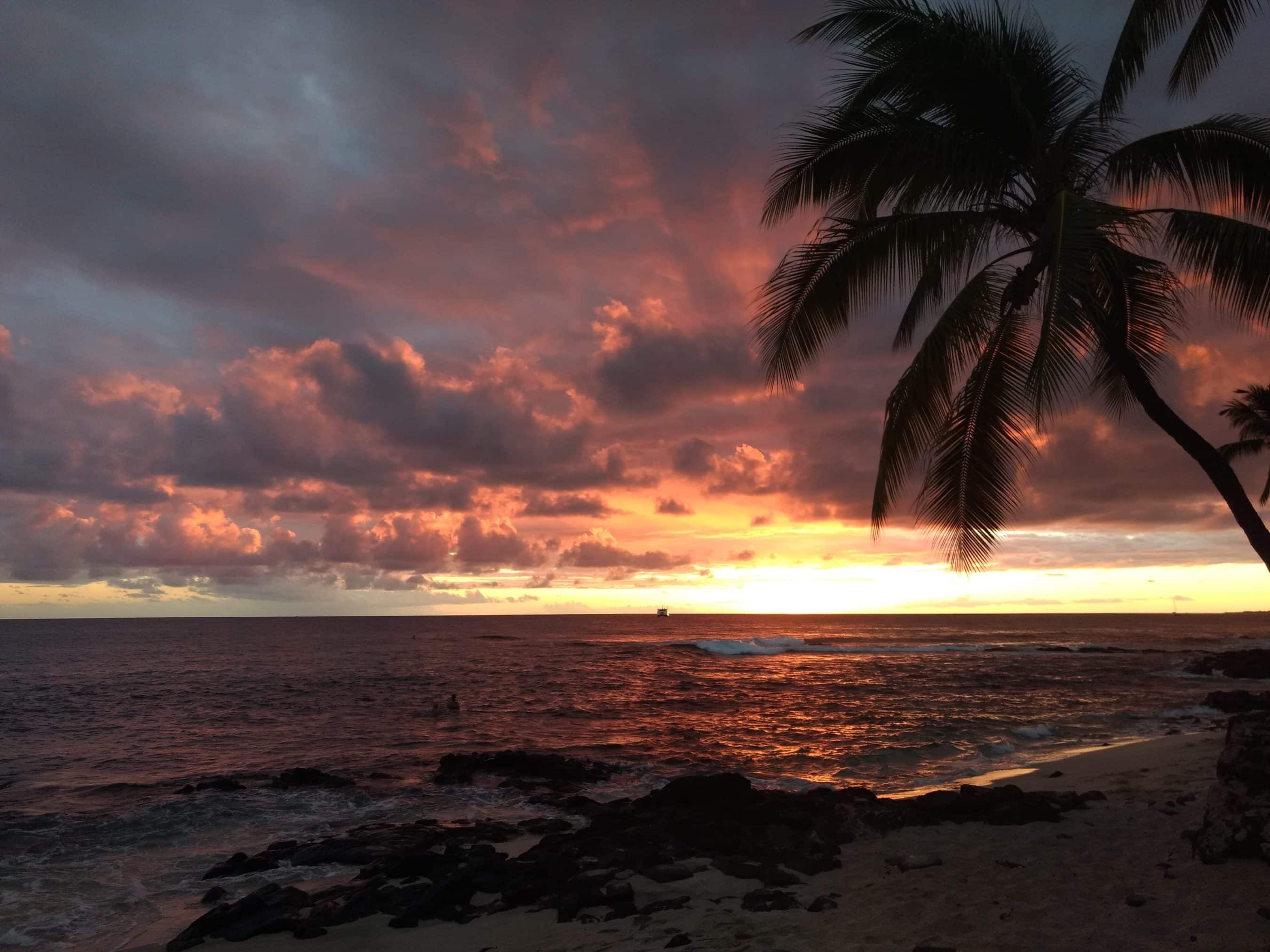Sunset over the ocean with a silhouetted palm tree on the right and a rocky shoreline in the foreground.