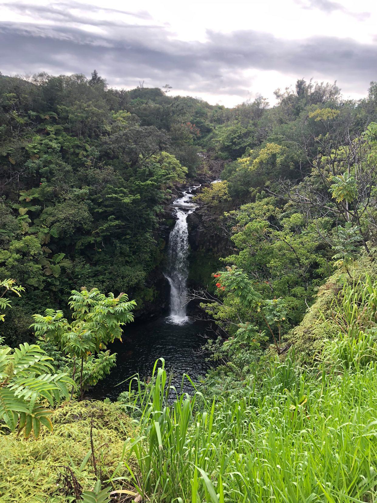 Waterfall flowing down rocky cliff into a dark pool surrounded by dense tropical foliage under a cloudy sky