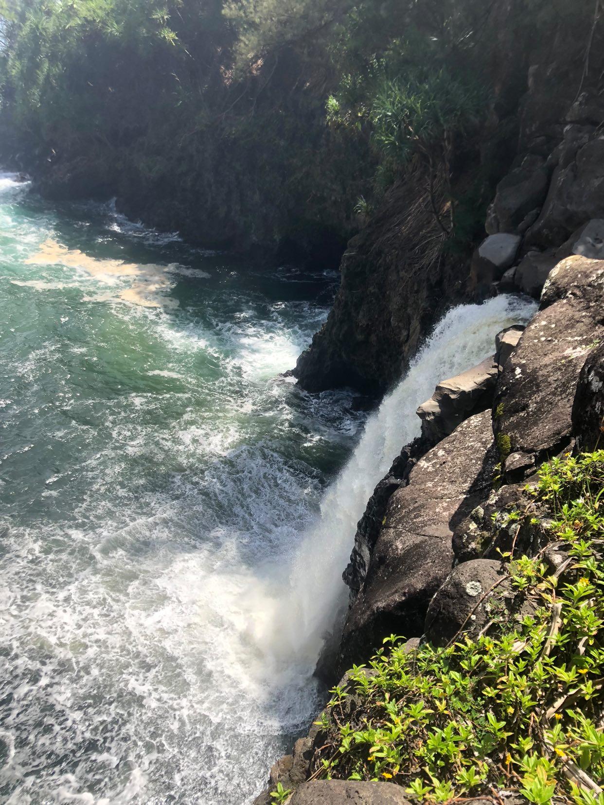 Waves crash against a rocky cliff by the sea, with green plants growing at the edge and spray rising from the water."
