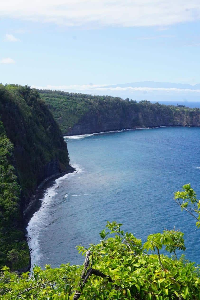 Cliffside coastline with lush green vegetation in the foreground and a calm blue ocean stretching to the horizon.