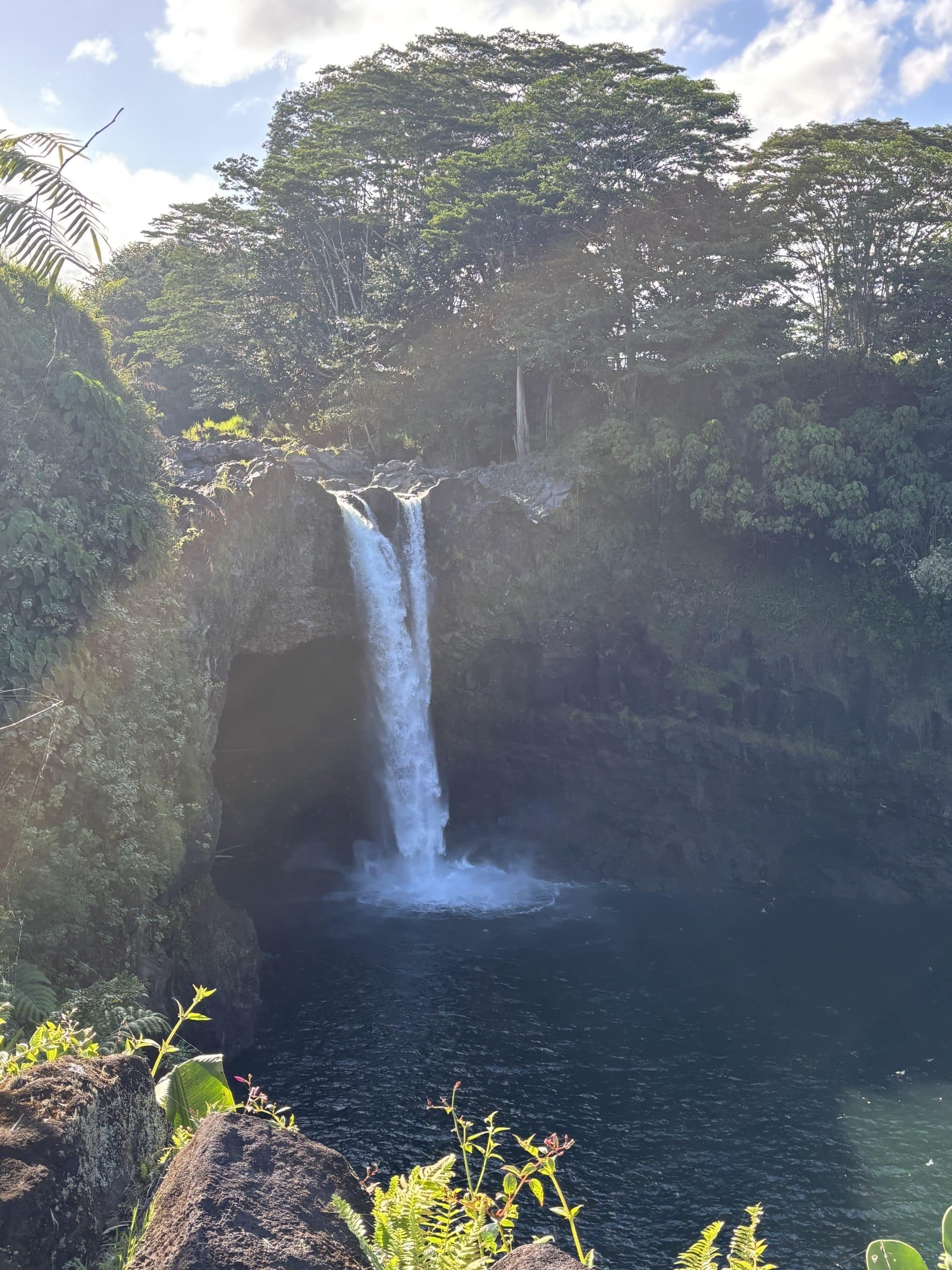 Waterfall cascading over rocky cliff into a dark pool, surrounded by lush tropical greenery and trees.