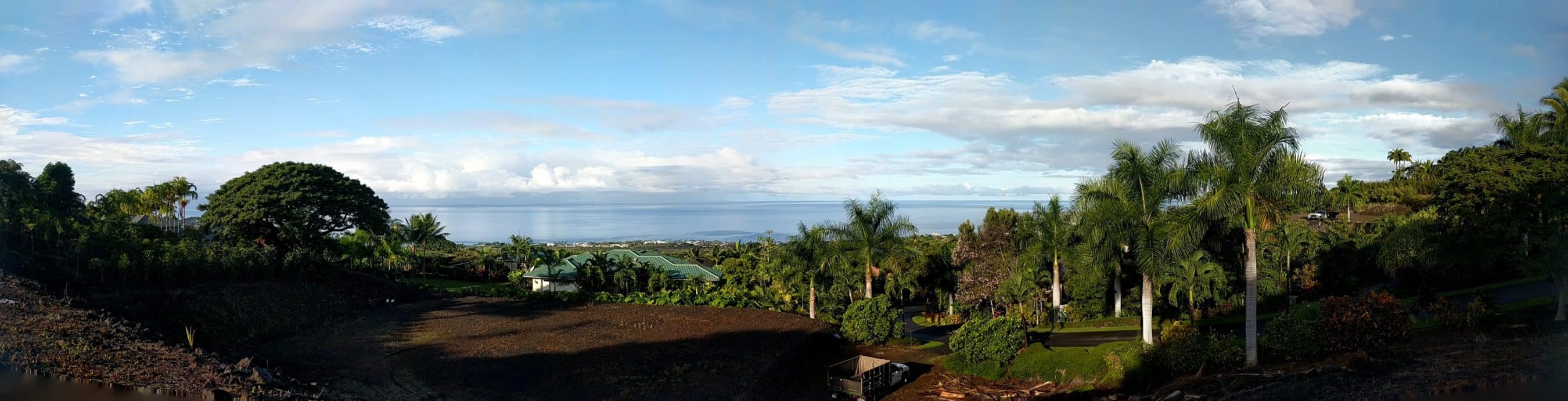 Panoramic tropical landscape with palm trees, green rooftops, and a calm ocean horizon under a blue sky.