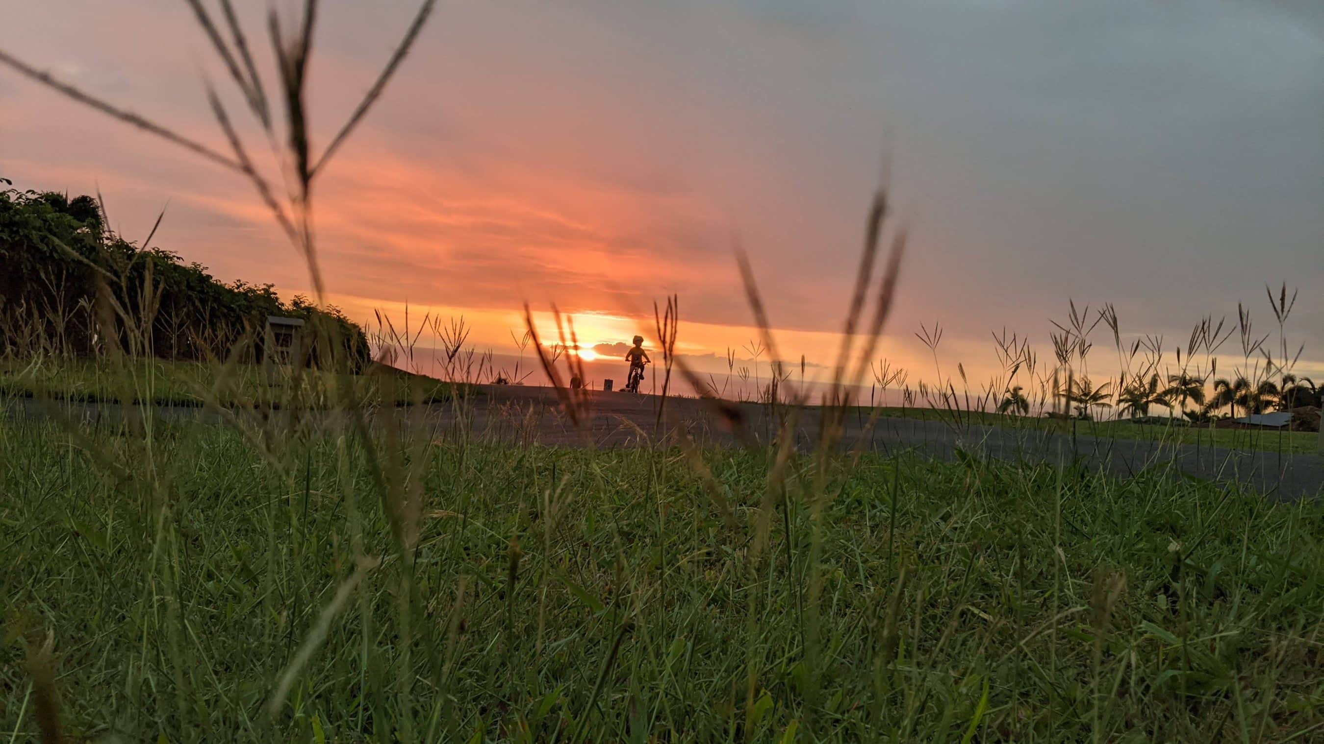 Silhouette of a person riding a bicycle against a sunset over a grassy field with a road in view.