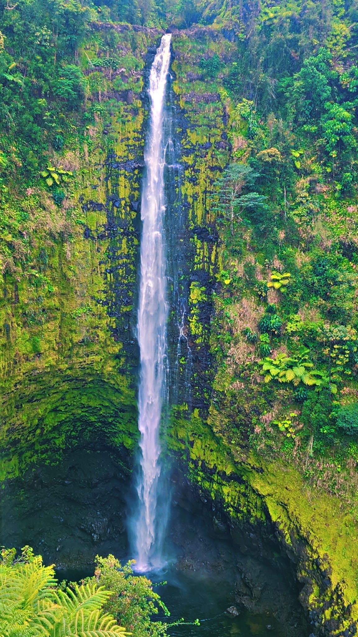 Tall waterfall cascading down a moss-covered cliff into a dark pool surrounded by dense tropical vegetation.