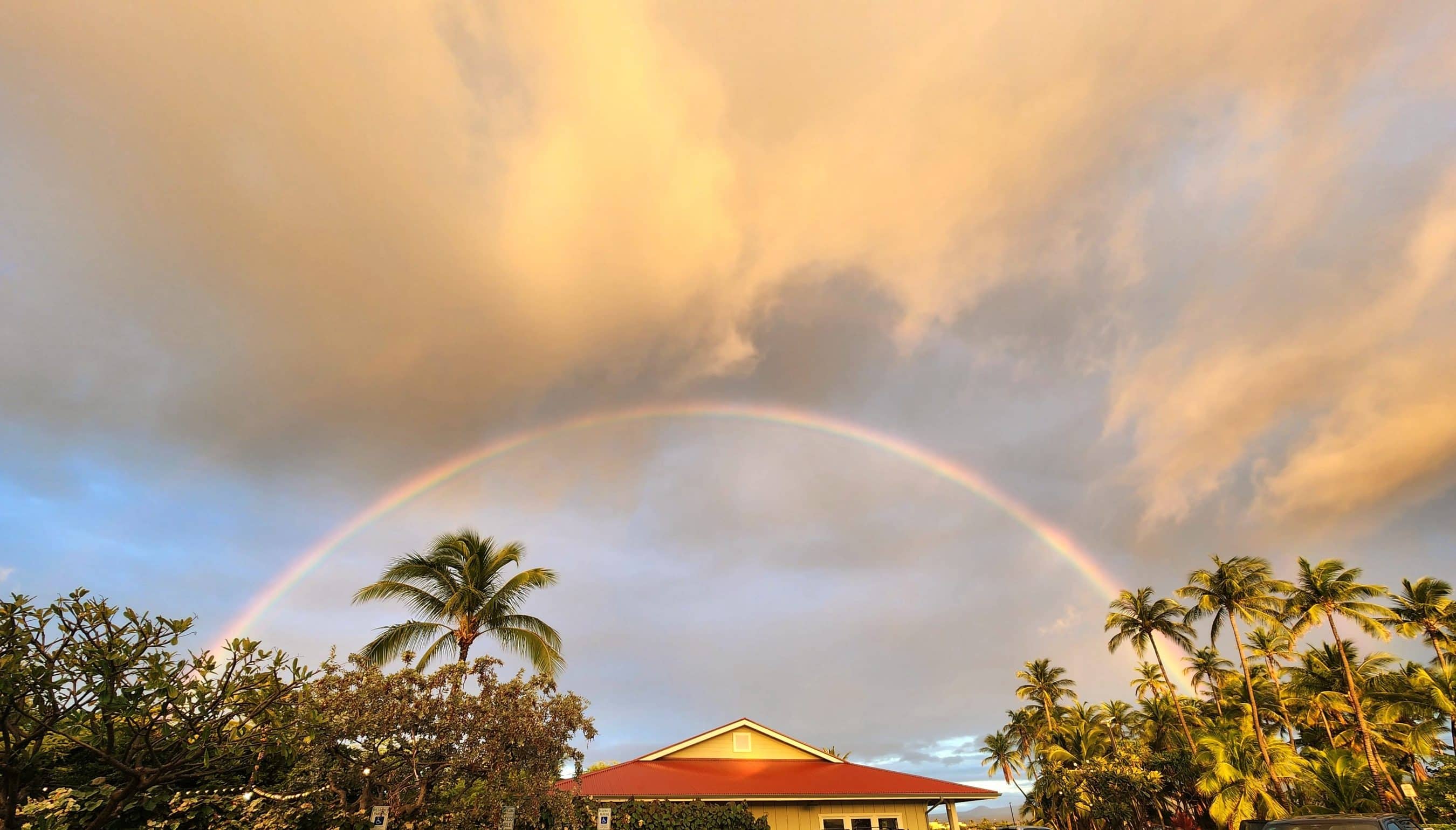 Rainbow arch over palm trees and a red-roofed house at sunset; warm golden sky with clouds in tropical scene.
